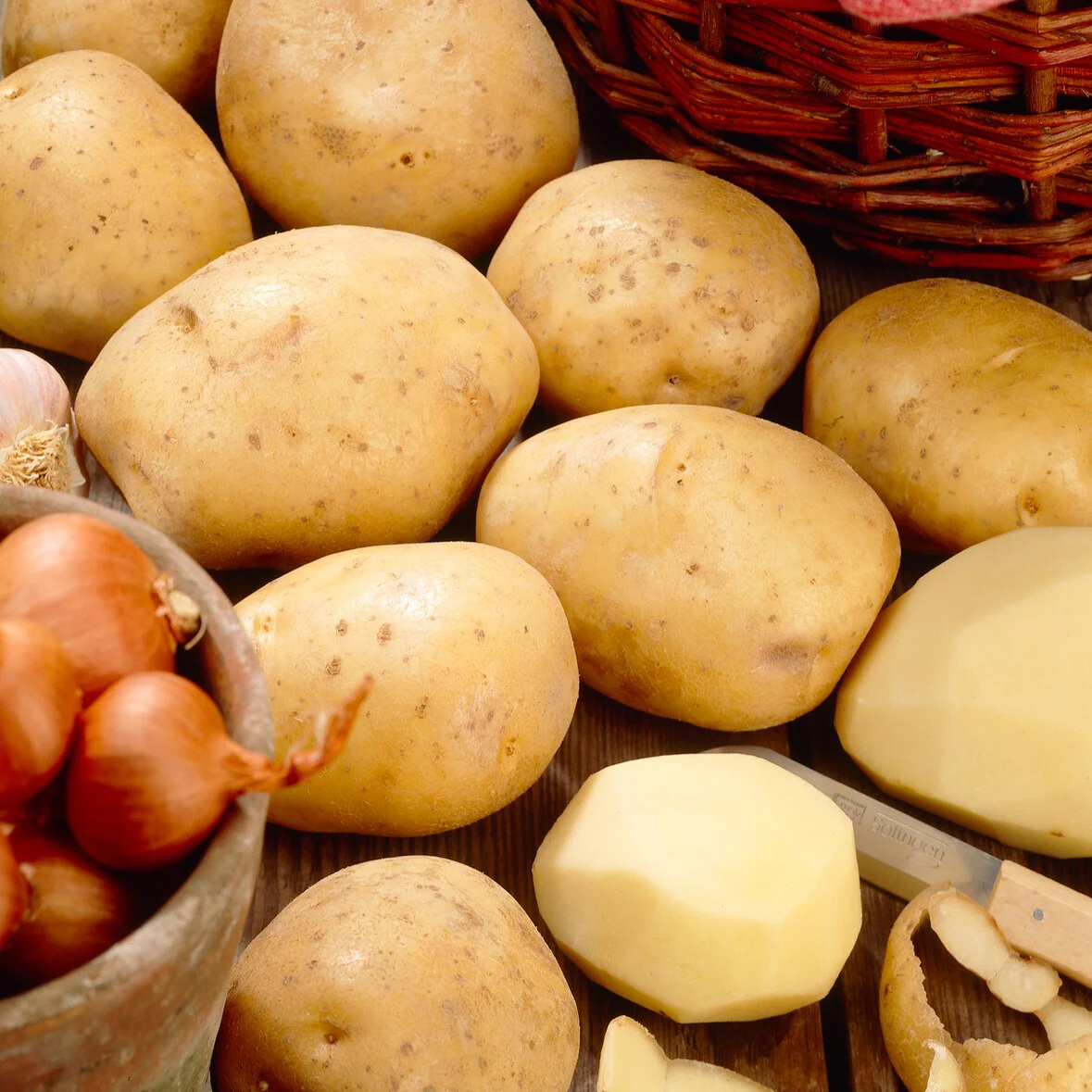 25 Pommes de terre Bintje - Image 3