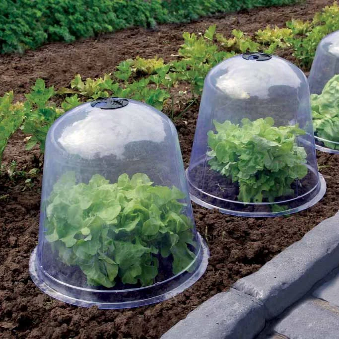 3 Cloches de forçage