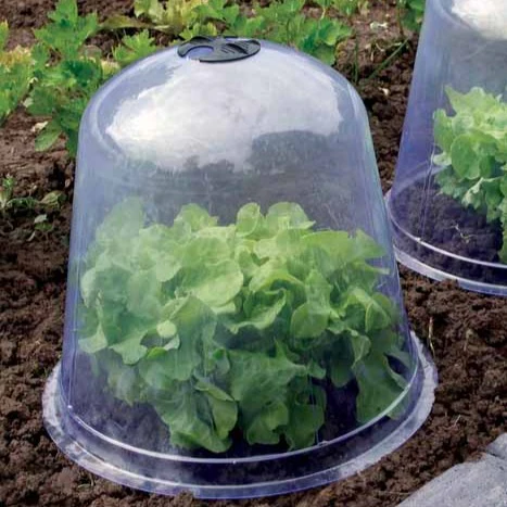 3 Cloches de forçage - Image 2