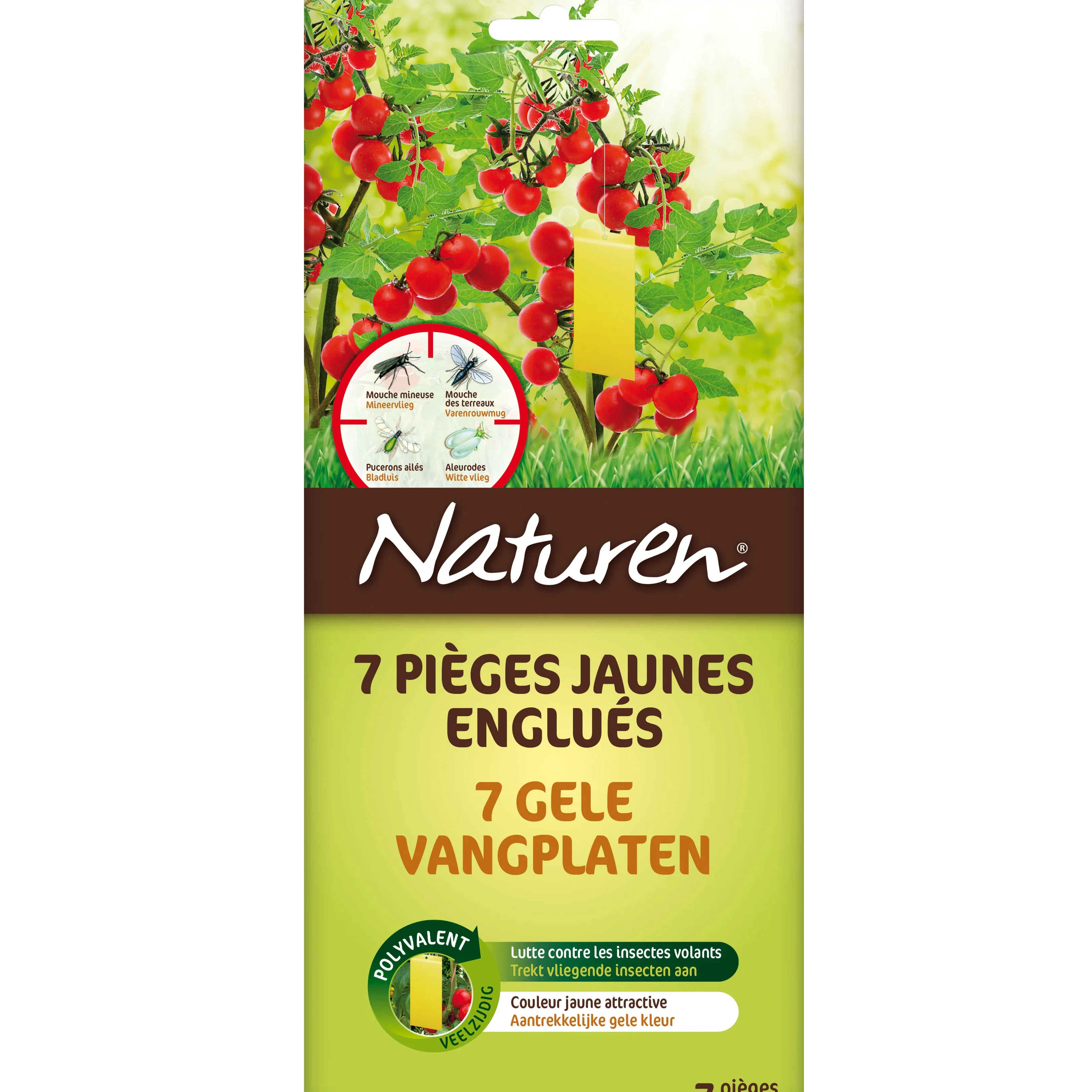 7 Pièges jaunes englués NATUREN