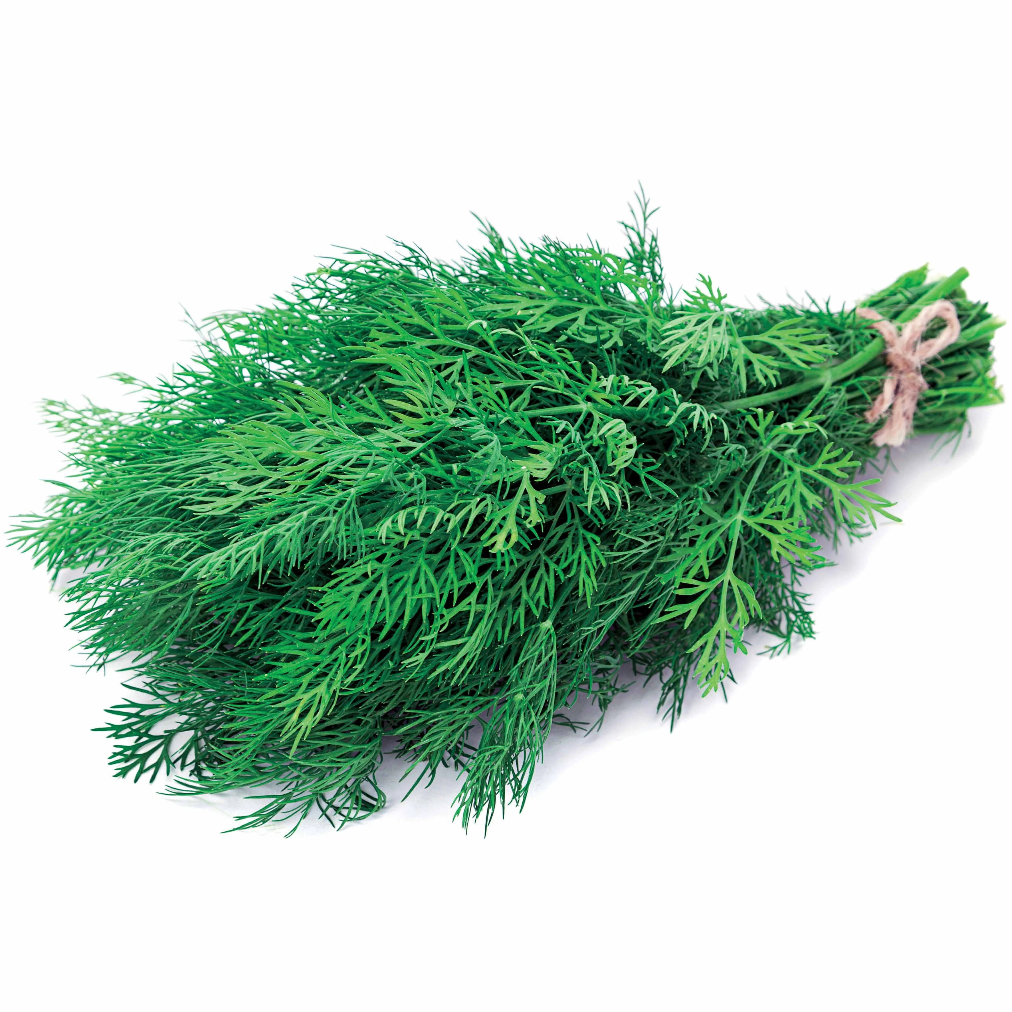 Aneth Bouquet - Image 7