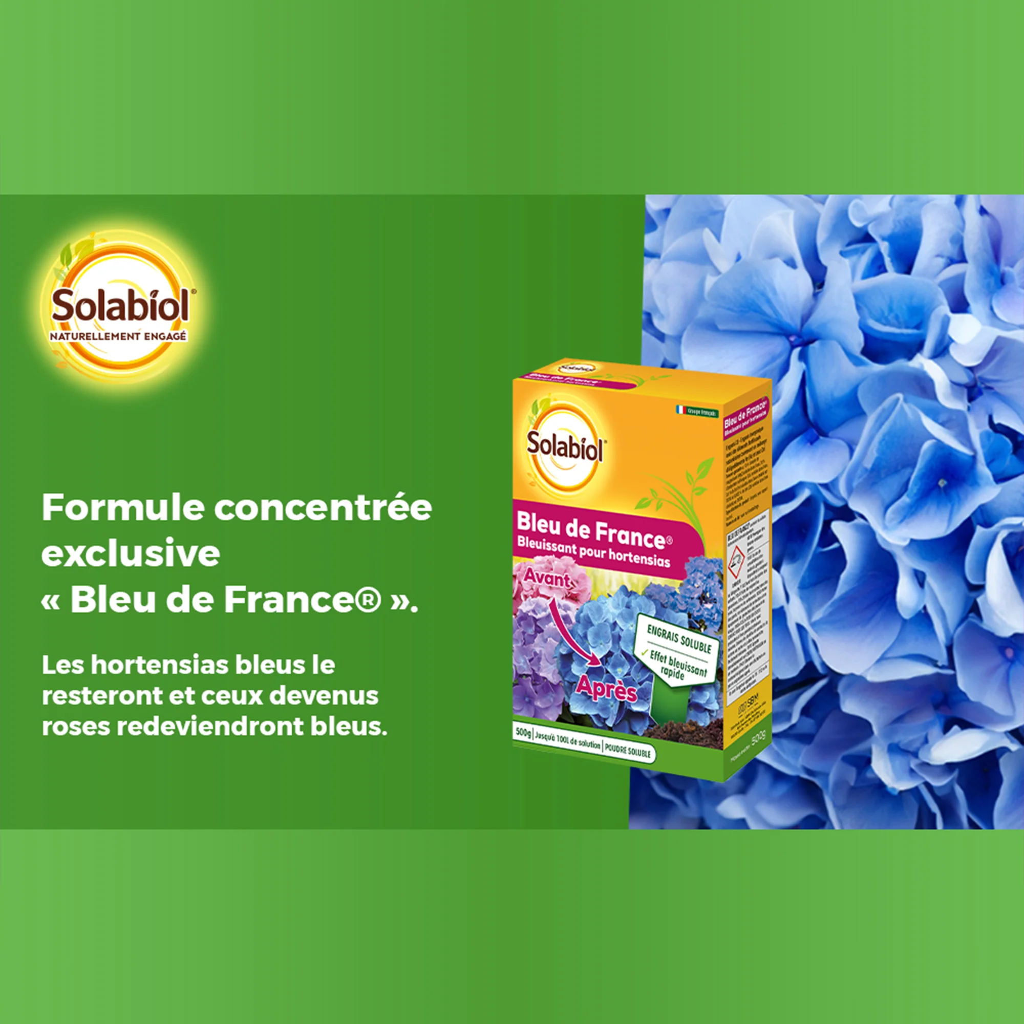 Bleu de France - Image 2