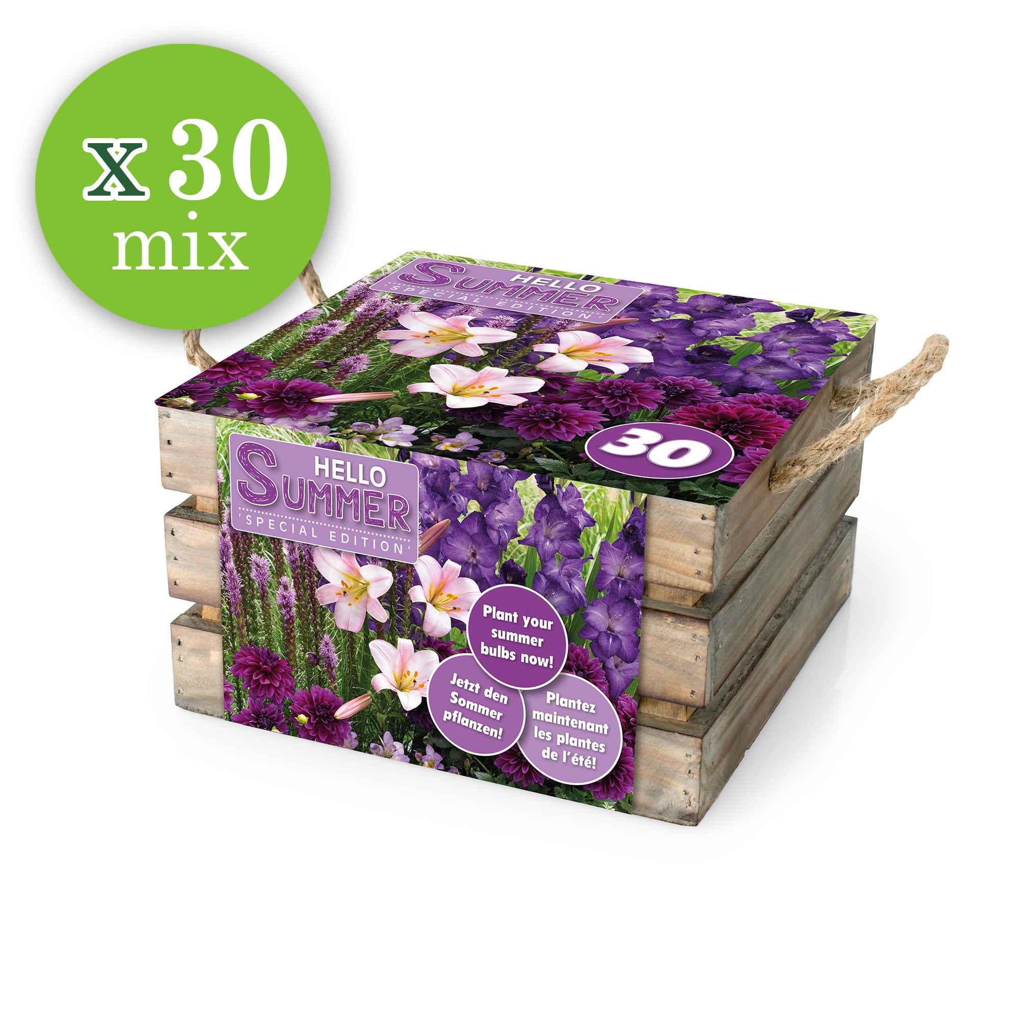 30 bulbes de fleurs Hello Summer en mélange - Image 2
