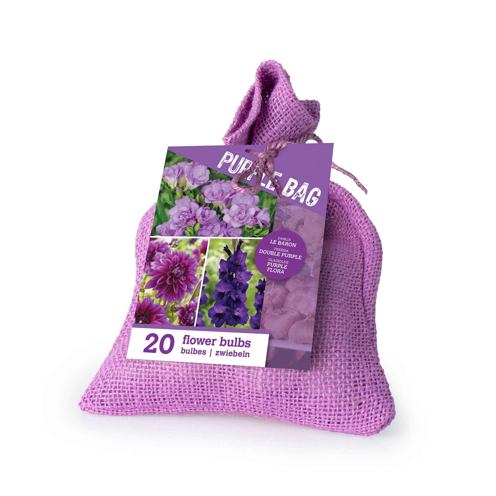 20 Bulbes de fleurs The Purple Bag en mélange - Image 3