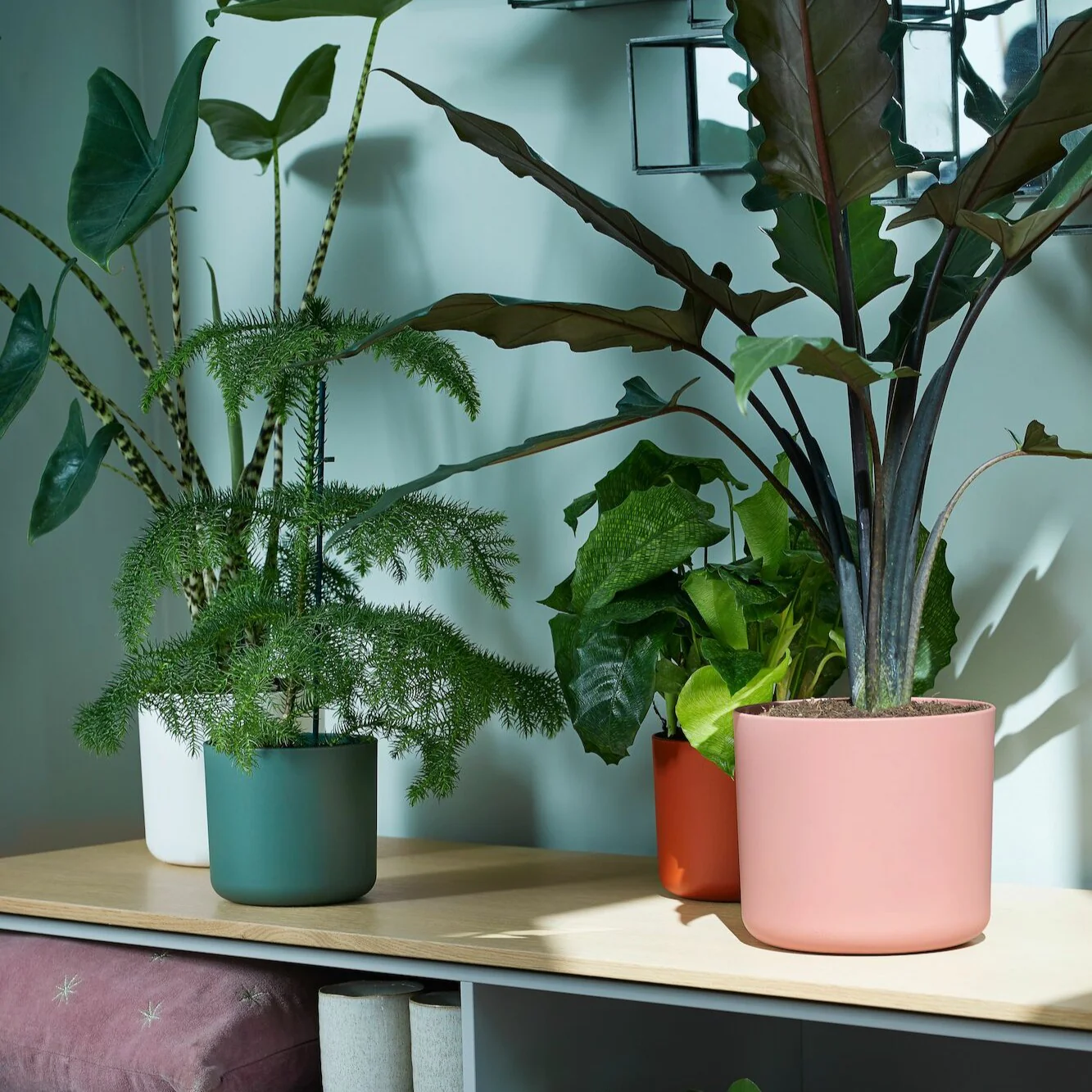 Cache-pot B for soft rond rose ELHO - Image 4