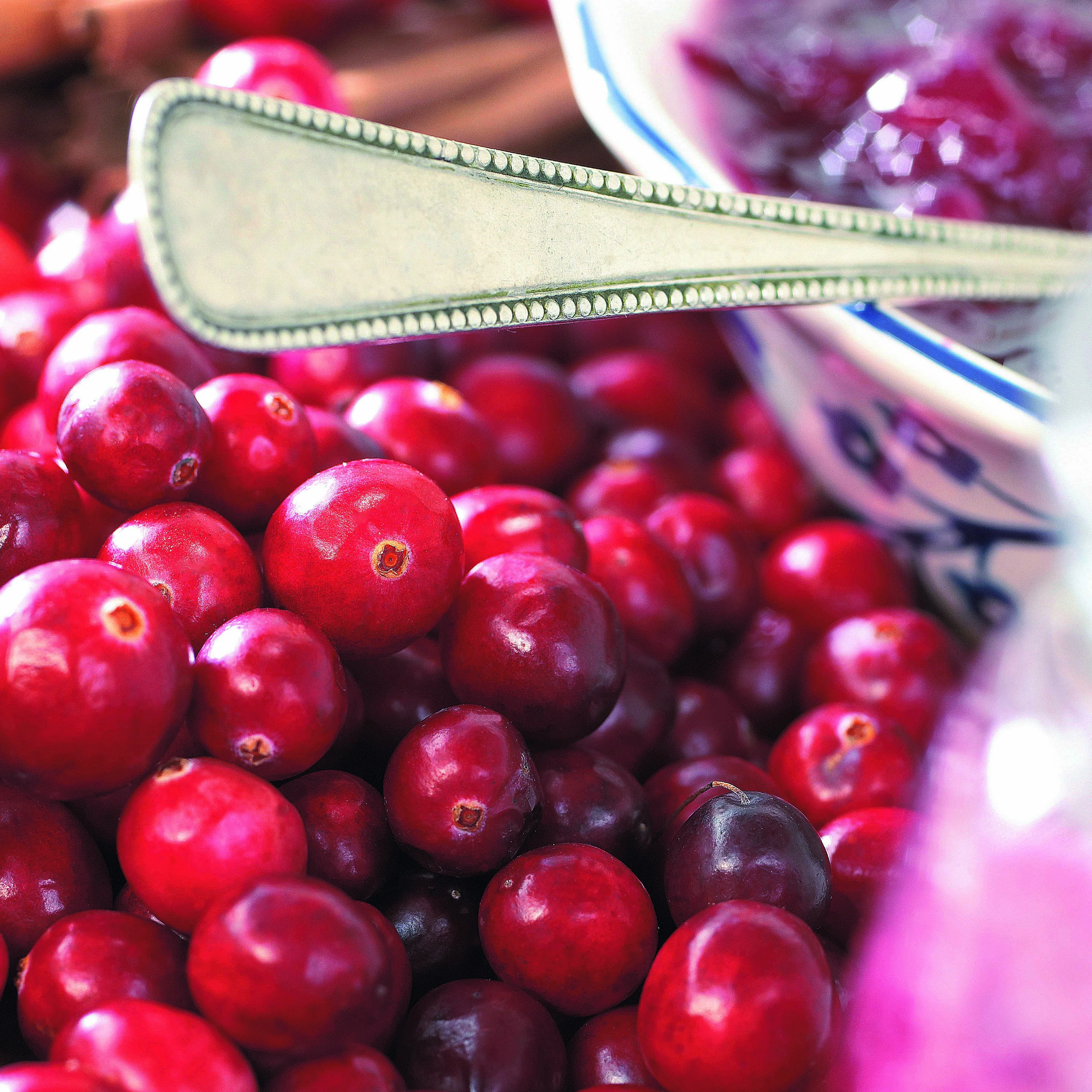 Canneberge - Cranberry - Image 6