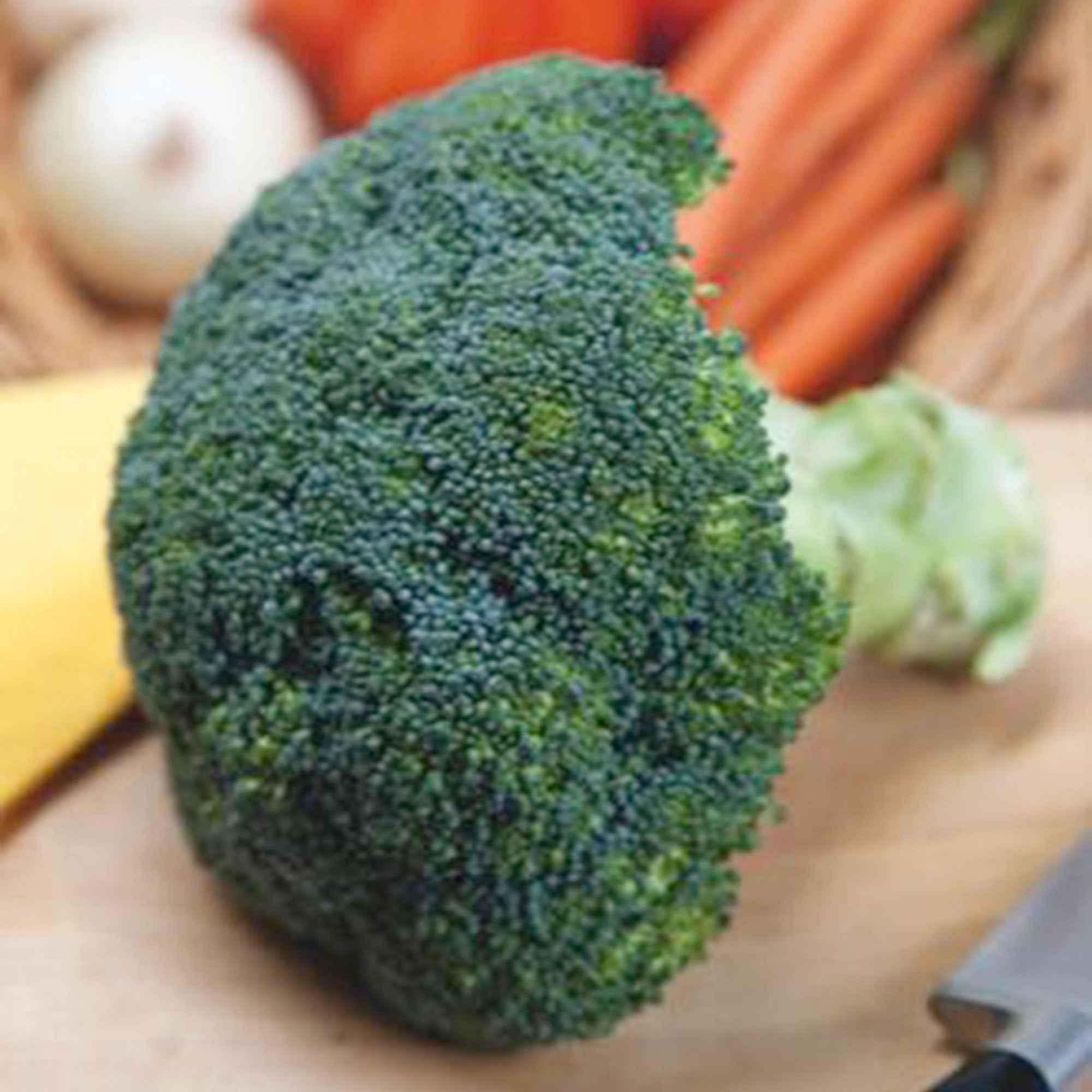 Chou Brocoli 'Calabrese Natalino' - Image 3