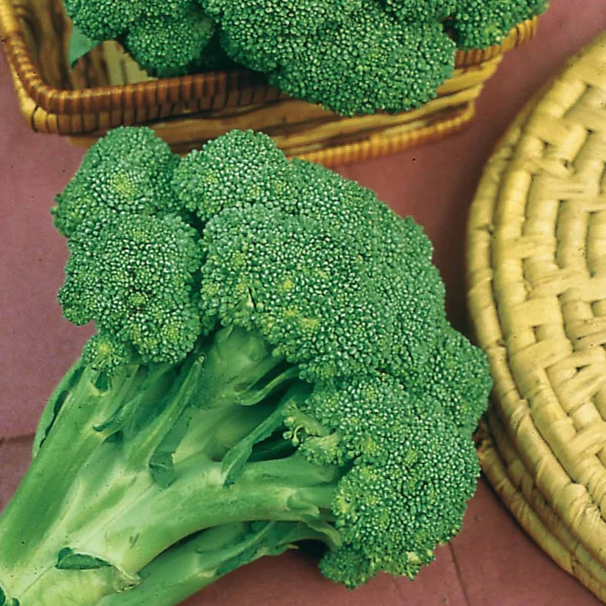 Chou Brocoli 'Calabrese Natalino' - Image 4