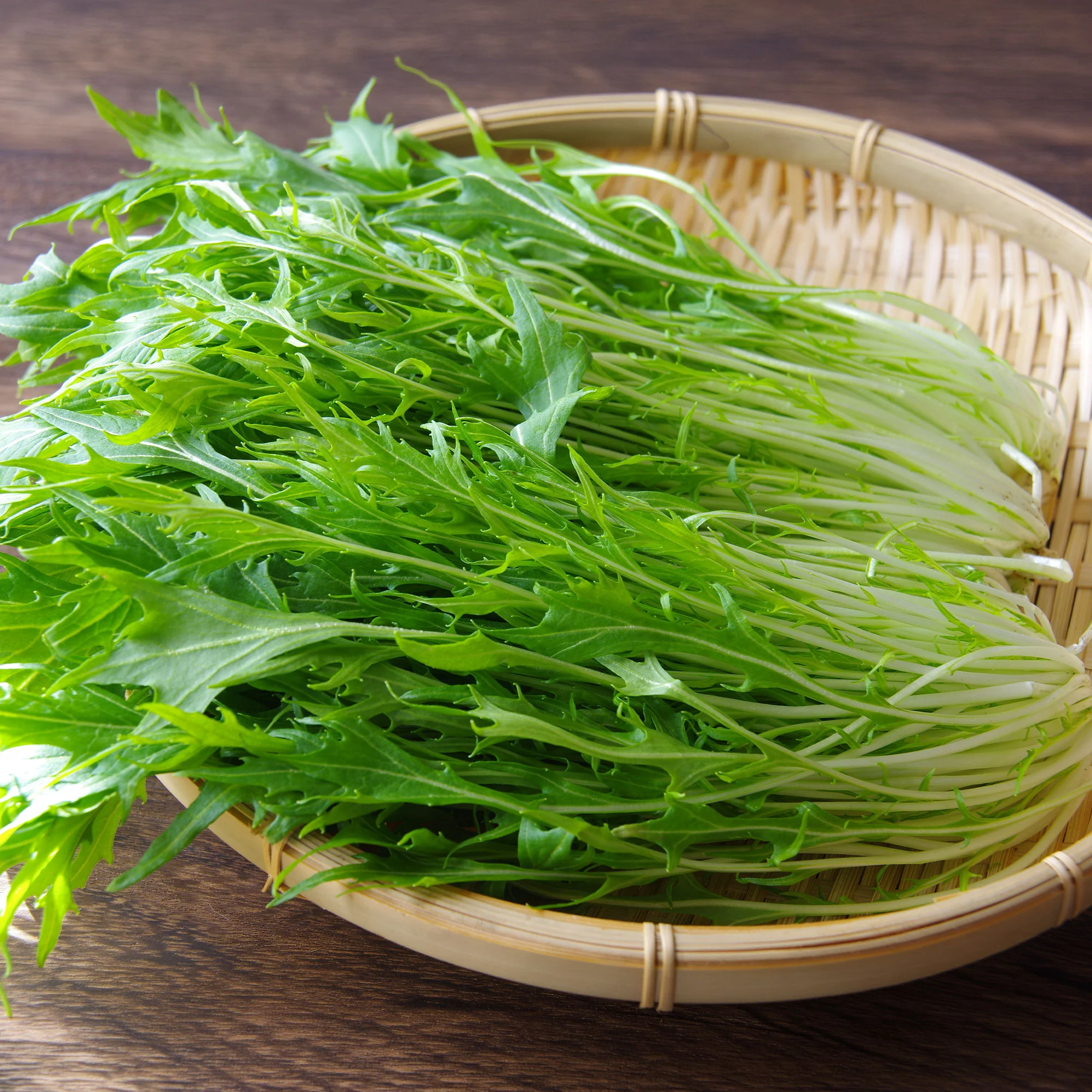 Chou salade Japonais Mizuna Bio