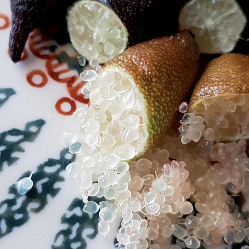 Citron caviar - Image 3