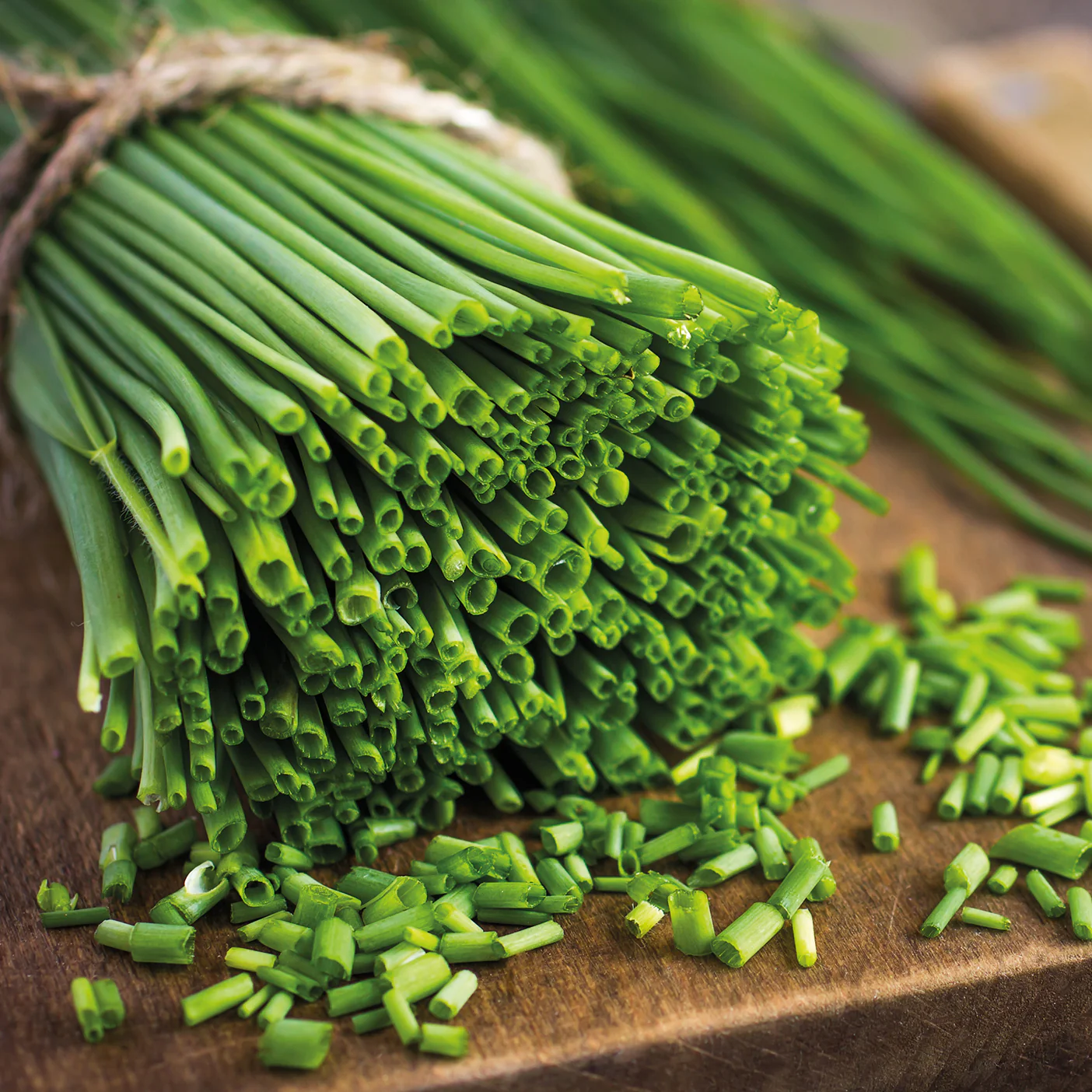 Collection de fines herbes : Persil, Basilic, Cerfeuil, Ciboulette - Image 4
