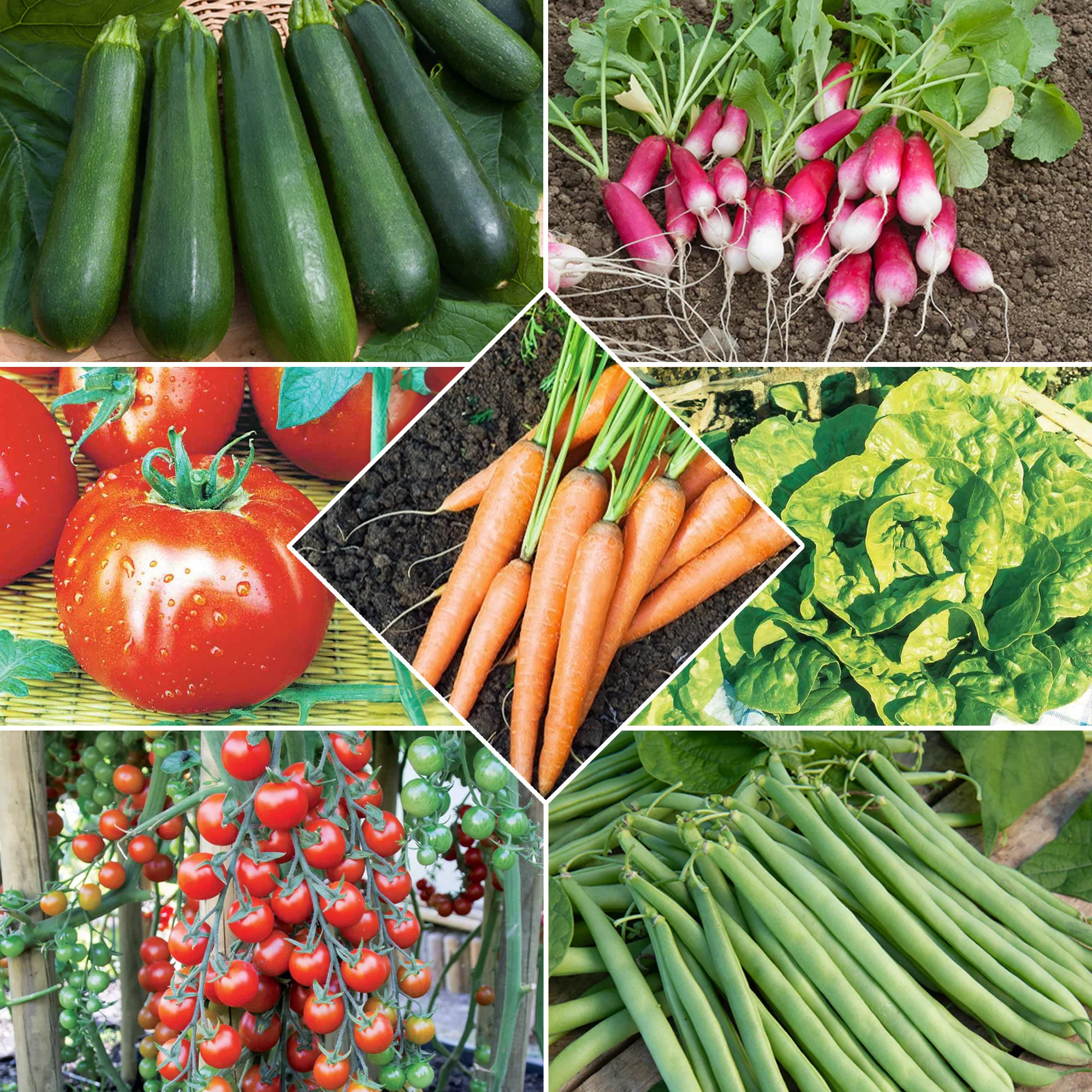 Collection de 7 sachets de graines pour potager