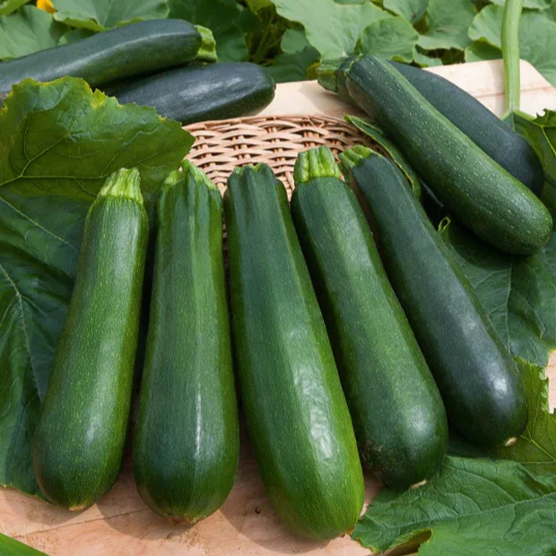 Collection de 7 sachets de graines pour potager - Image 2