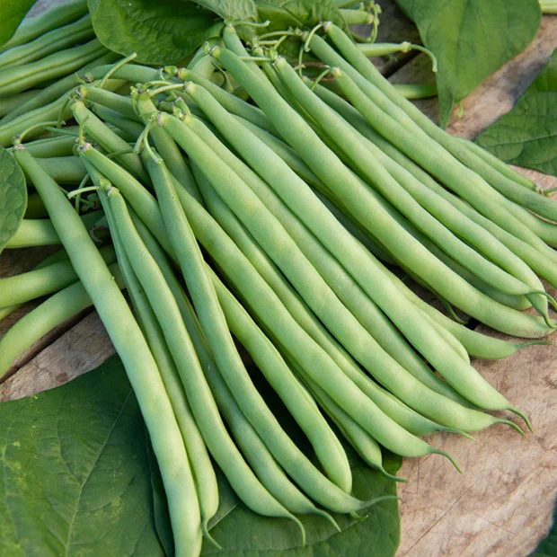 Collection de 7 sachets de graines pour potager - Image 8