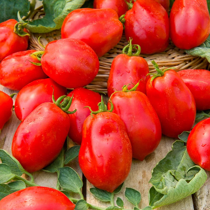 Collection de Tomates - Image 2