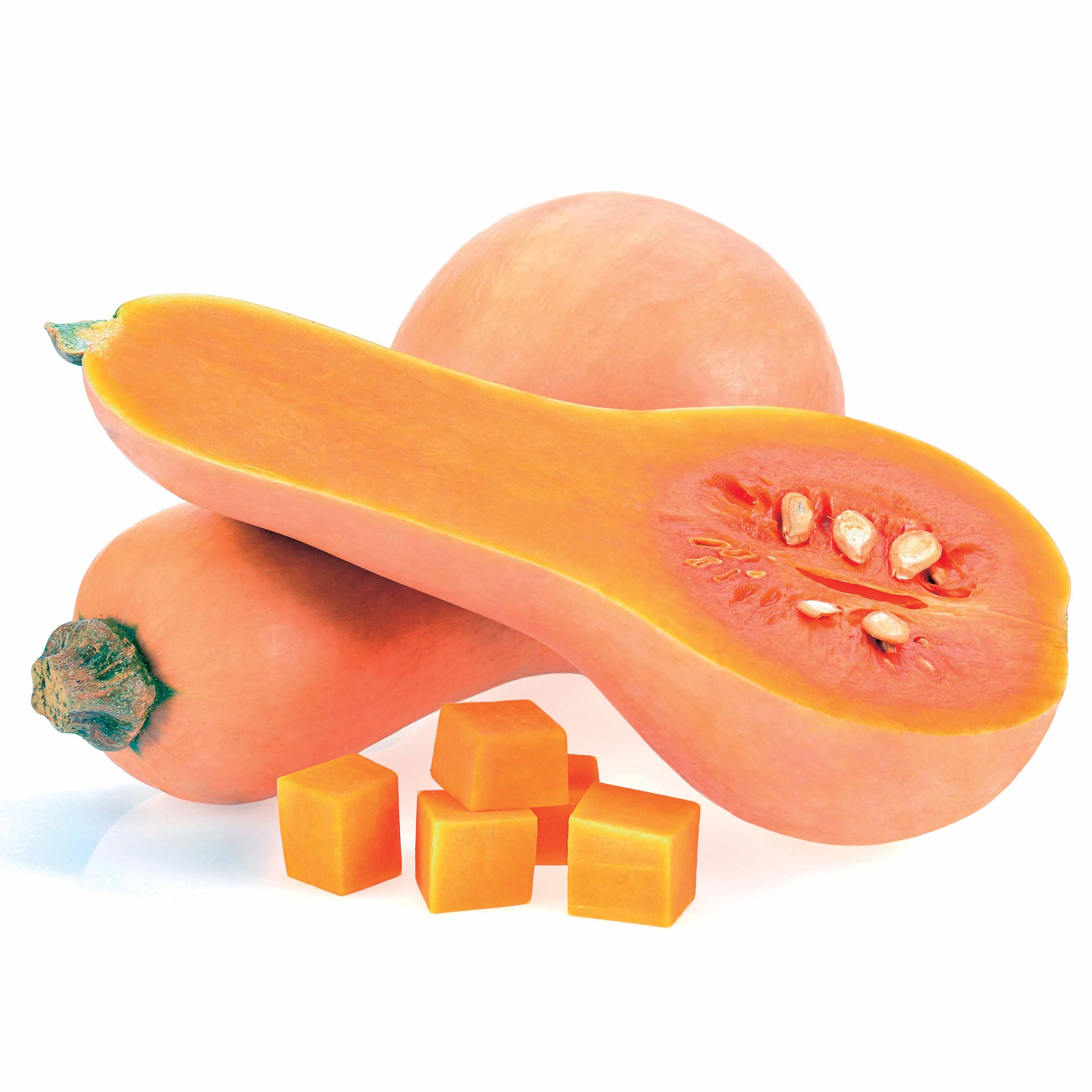 Courge Butternut Hercules F1 - Image 3