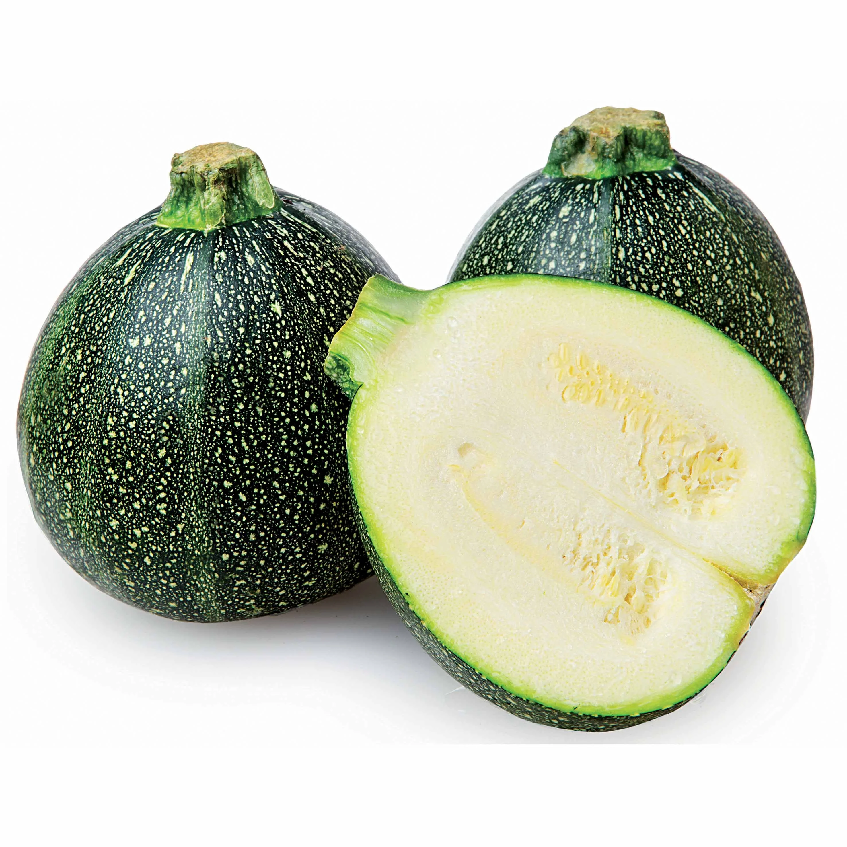 Courgette De Nice à fruits ronds - Image 3