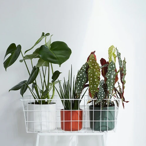 Elho Cache-pot B for soft rond brique - Image 2