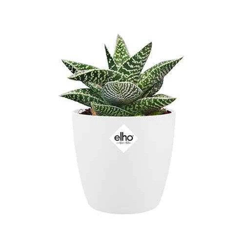 Elho Pot Brussels rond blanc - Image 3