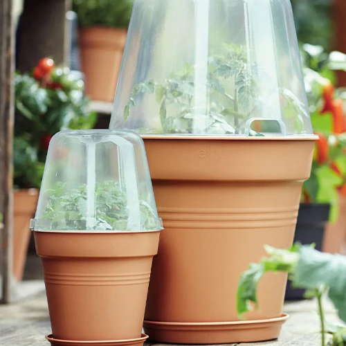 Elho pot pour orchidée - Image 5