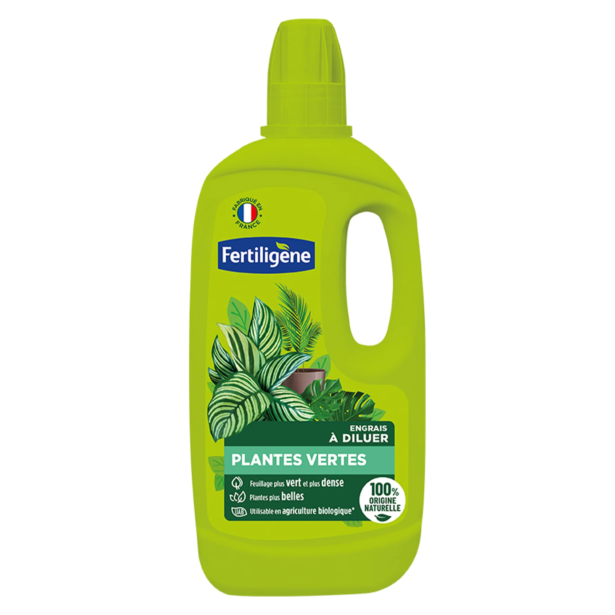 Engrais Plantes Vertes