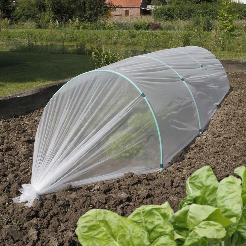 Film de forçage anti-insectes