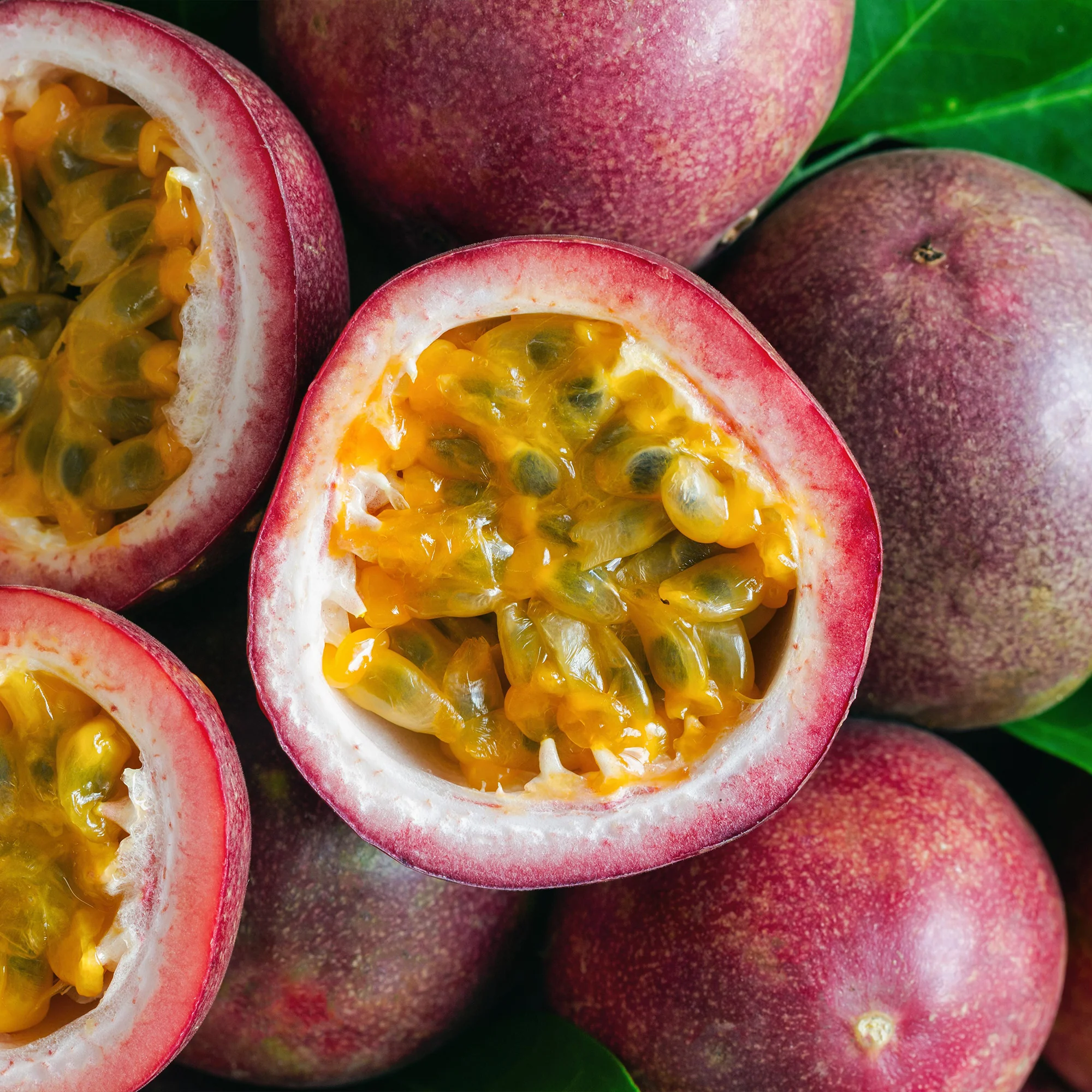 Fruit de la passion Frederick