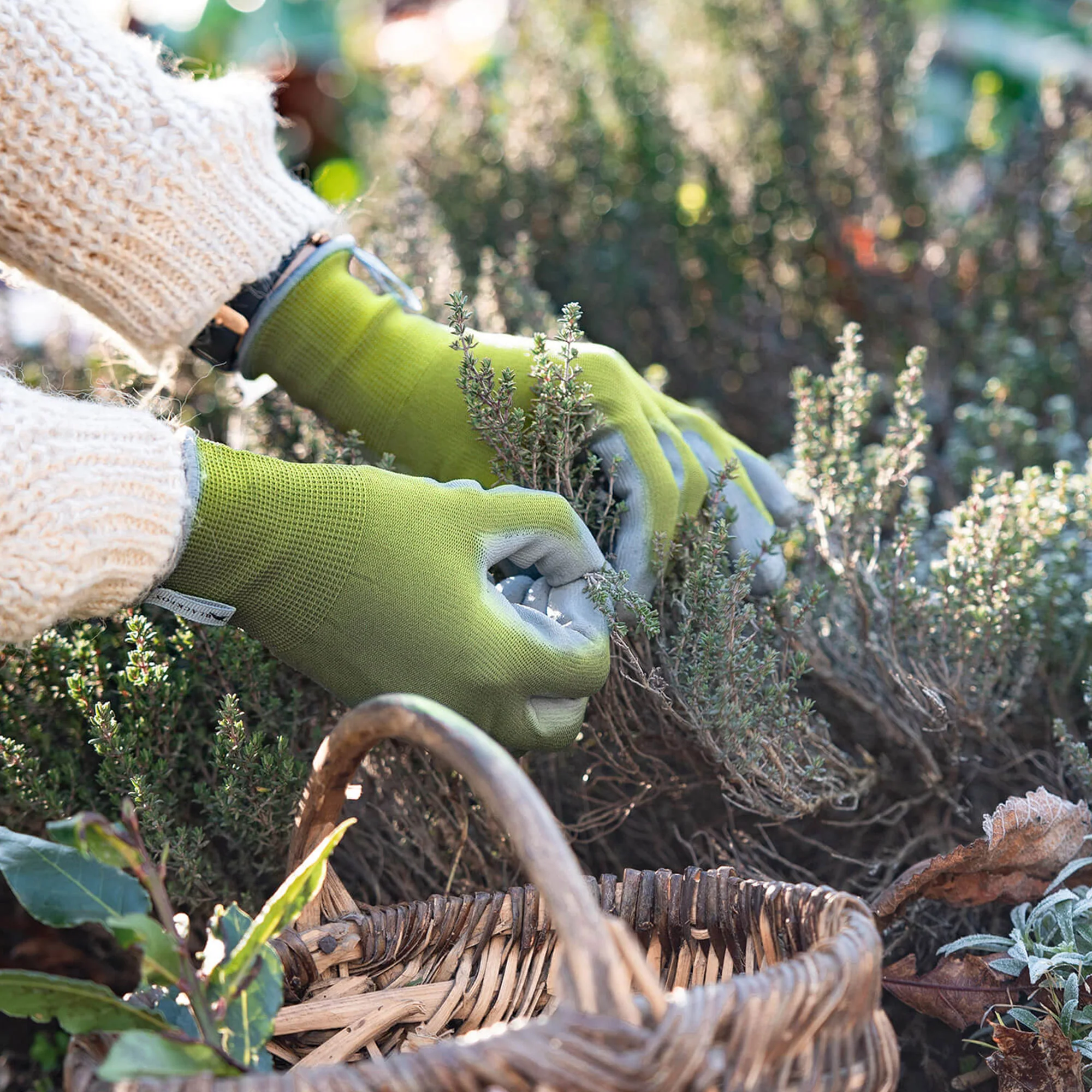 Gant Colors de jardin vert anis - Image 3