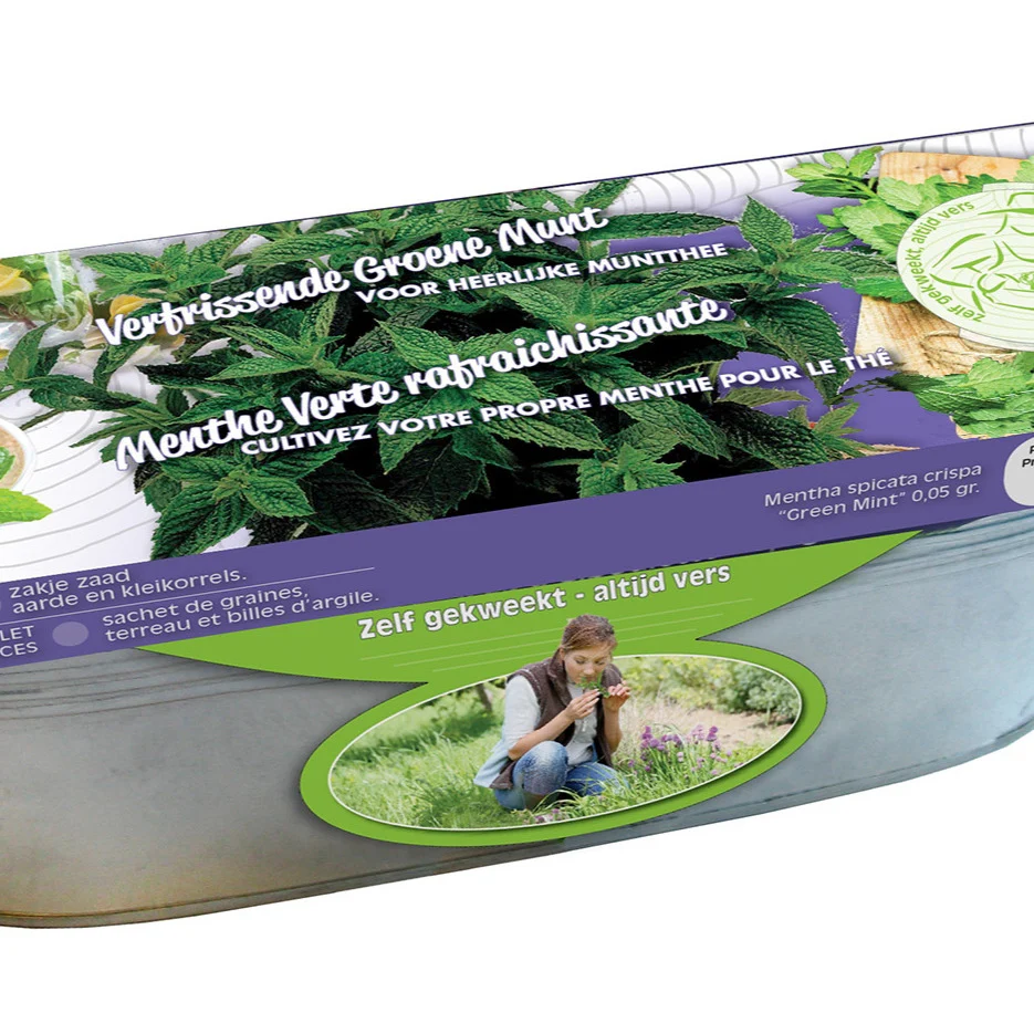 Graines de Menthes crépues et jardinière zinc