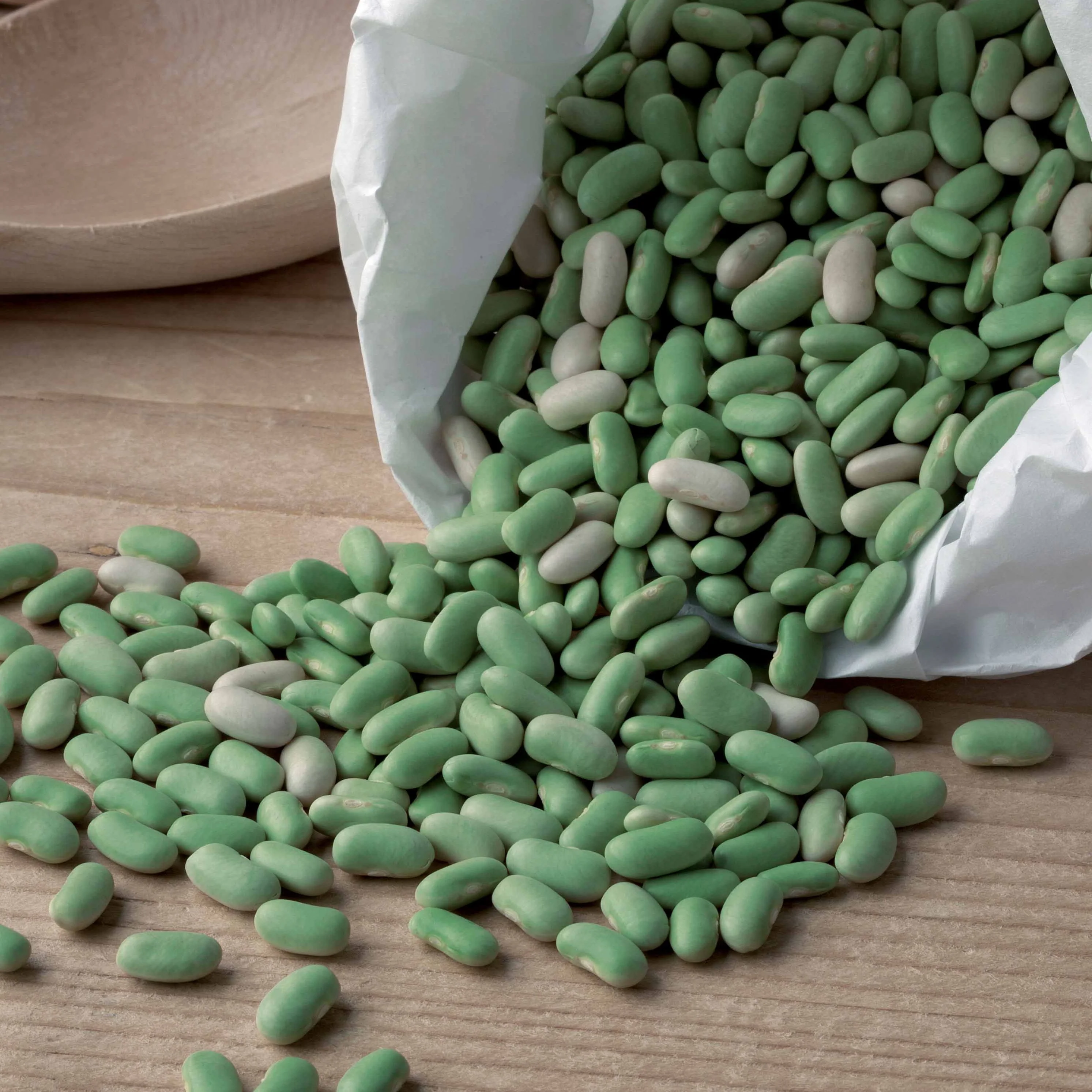 Haricot nain Flageolet Chevrier vert Flagrano - Image 2