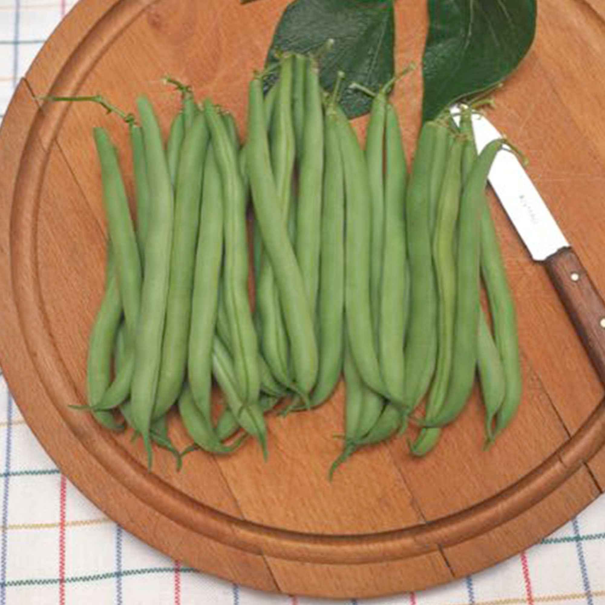Haricot nain mangetout Prélude - Image 2