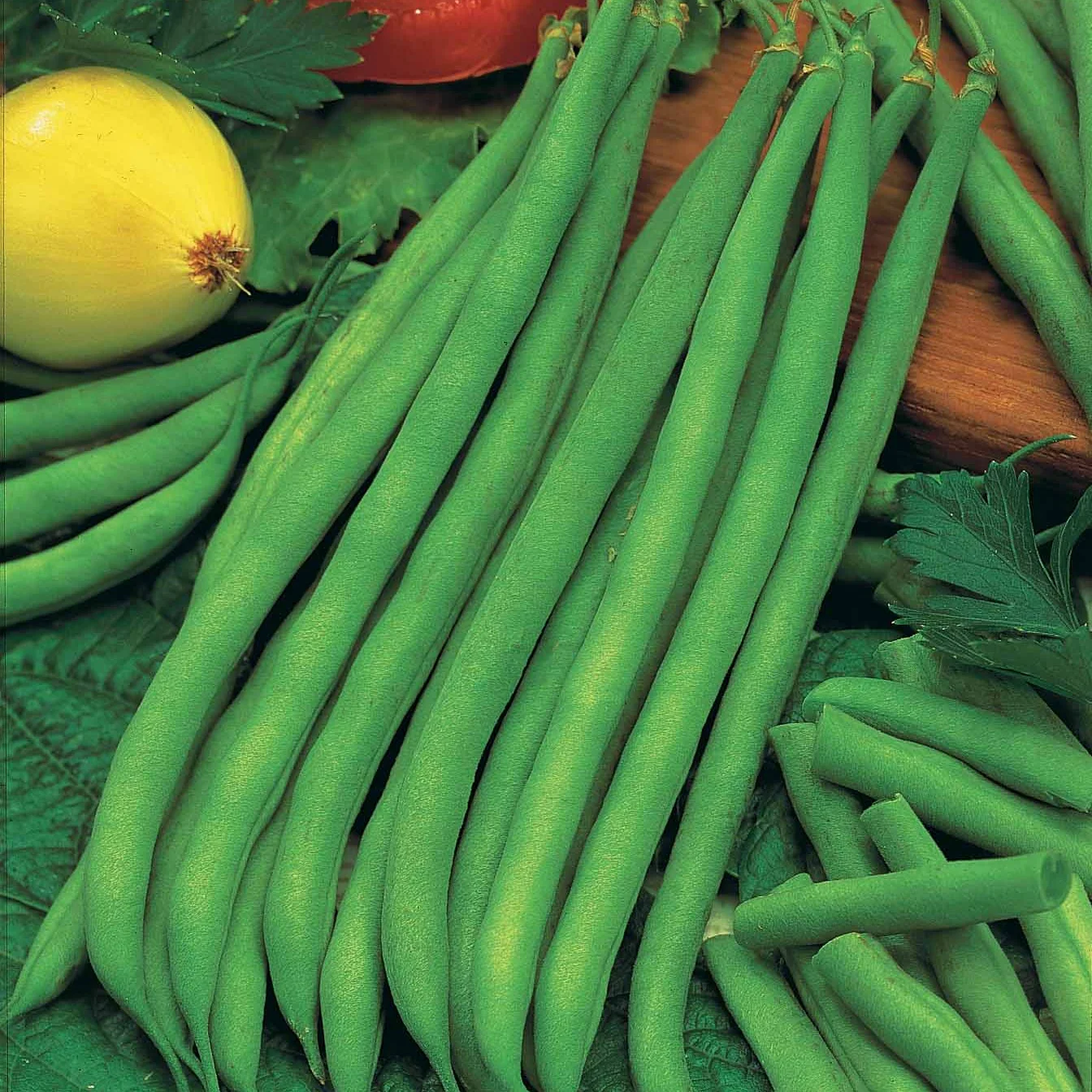 Haricot nain mangetout Princesse double de Hollande