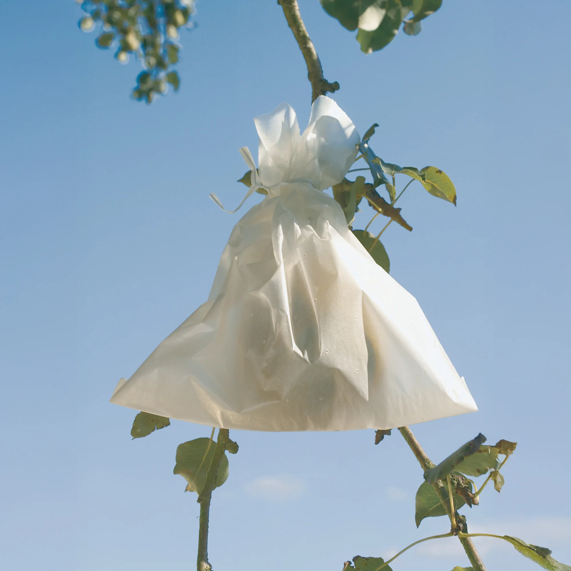 Housse à fruits - Fruitsac