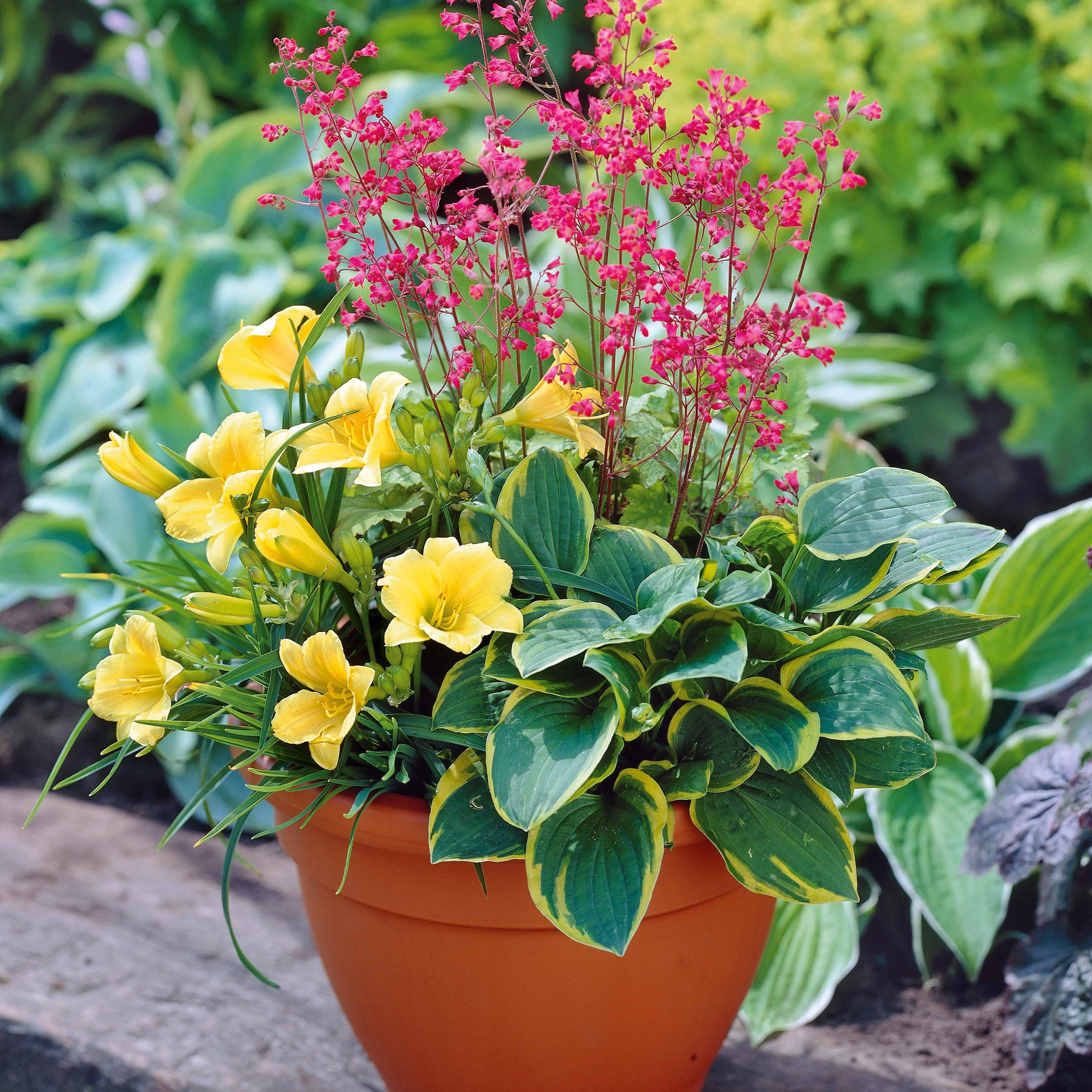 Kit Pot fleuri pour balcon