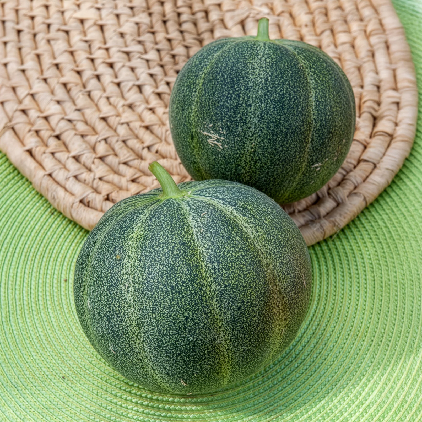 Melon Petit Gris de Rennes - Image 2