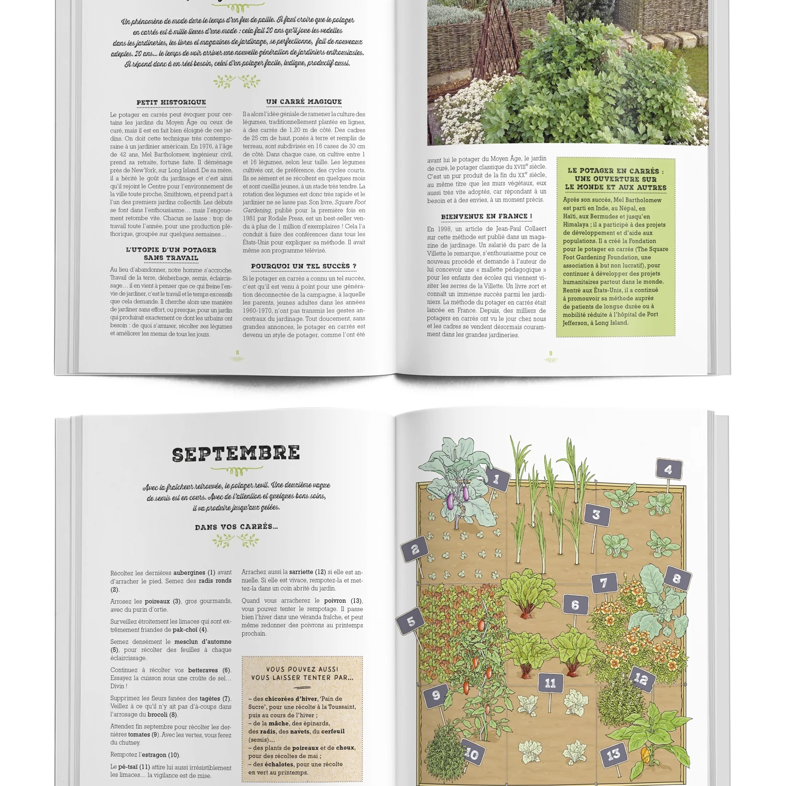 Mon carré potager au fil des mois - Image 2