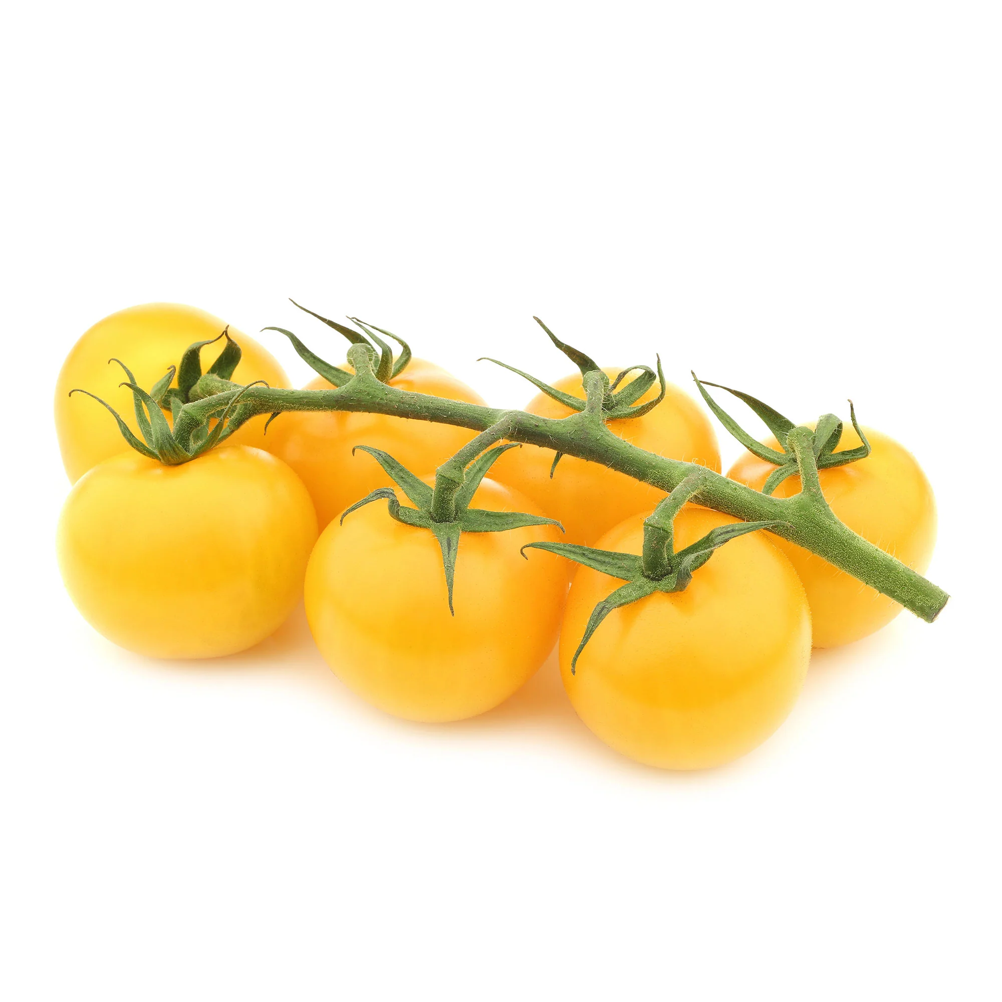 Tomate Cocktail Raisins jaunes - Image 3