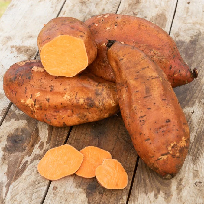 Patate douce - Image 2