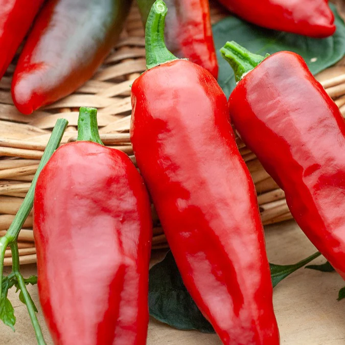 Piment d'Espelette - Gorria - Image 4