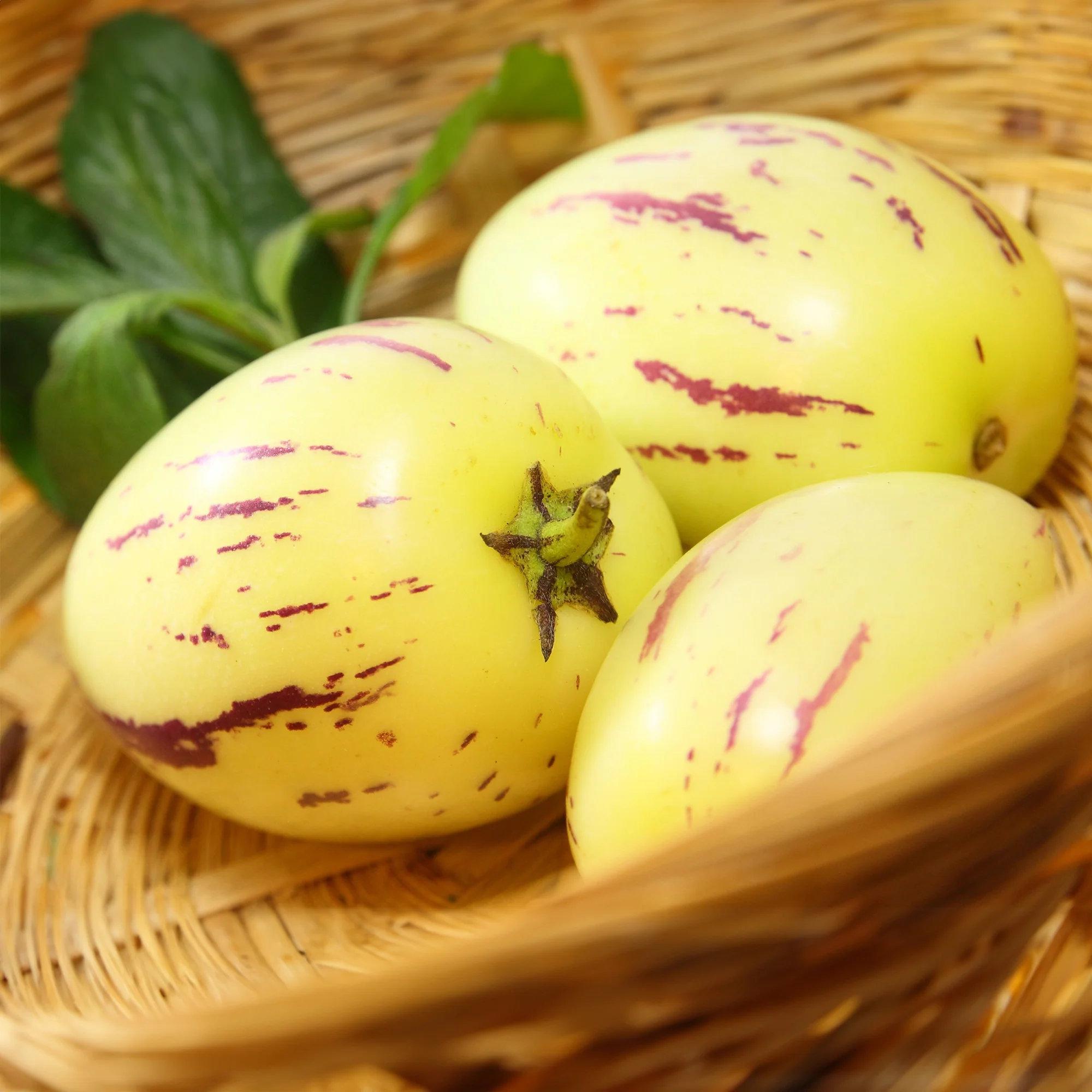 Poire-melon - Image 5