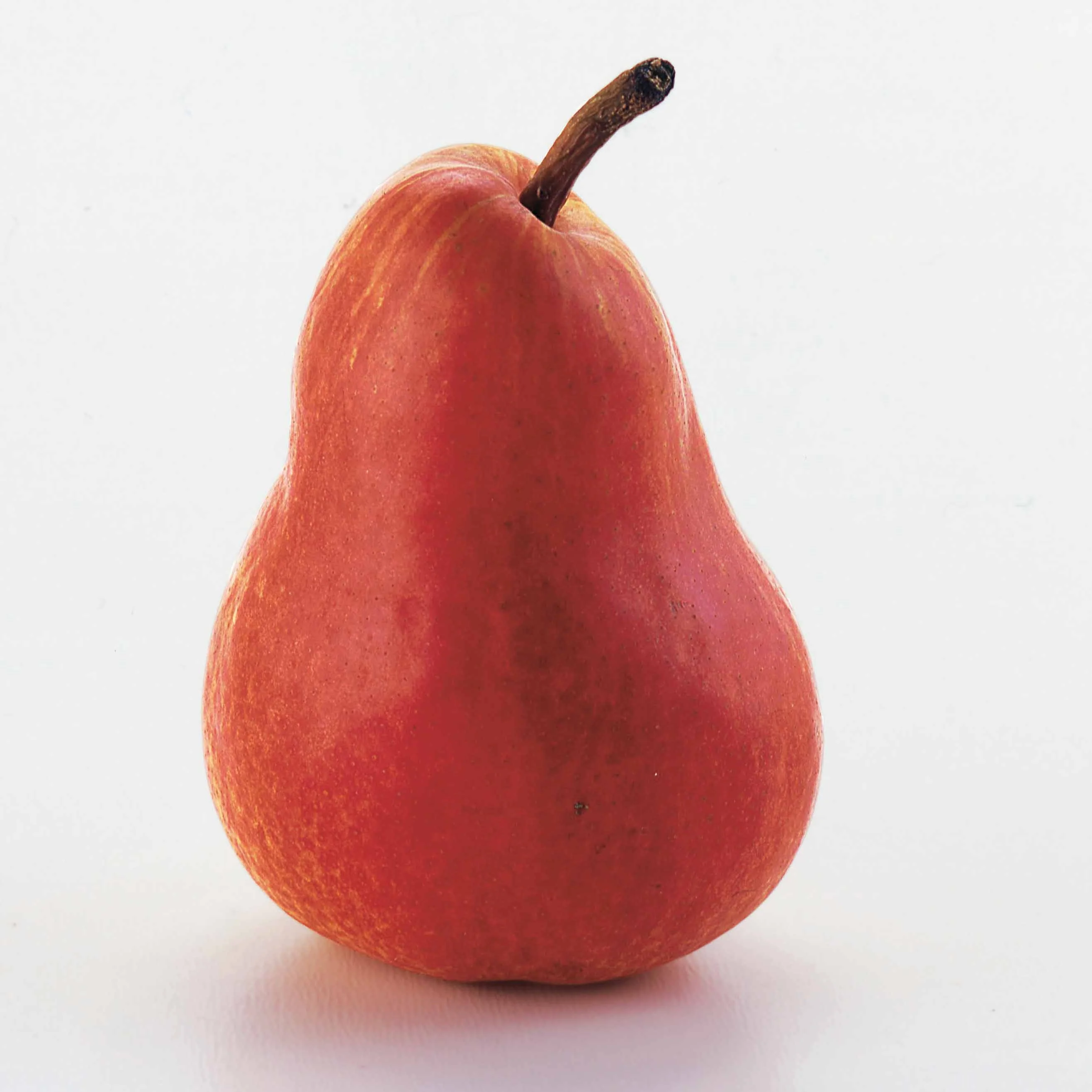 Poirier William's rouge - Image 4
