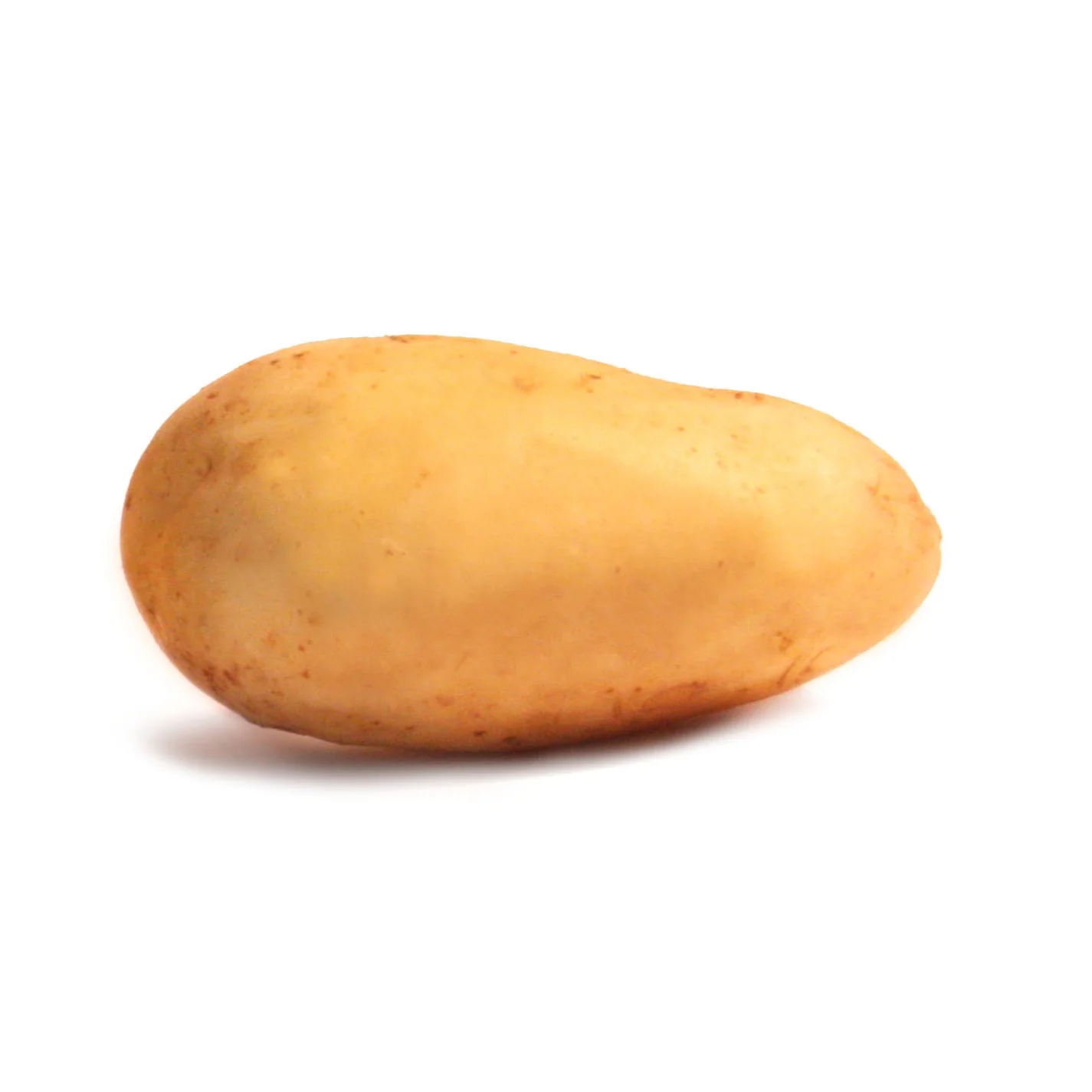 25 Pommes de terre Blanche Bio - Image 2