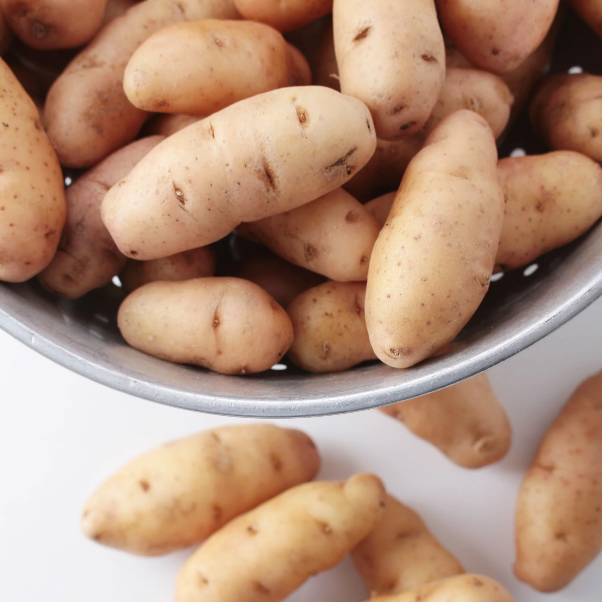 25 Pommes de terre Corne de Gatte - Pink fir Apple - Image 2
