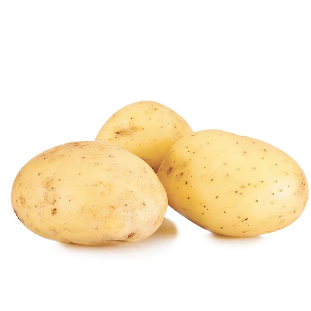 25 Pommes de terre Etincelle - Image 2