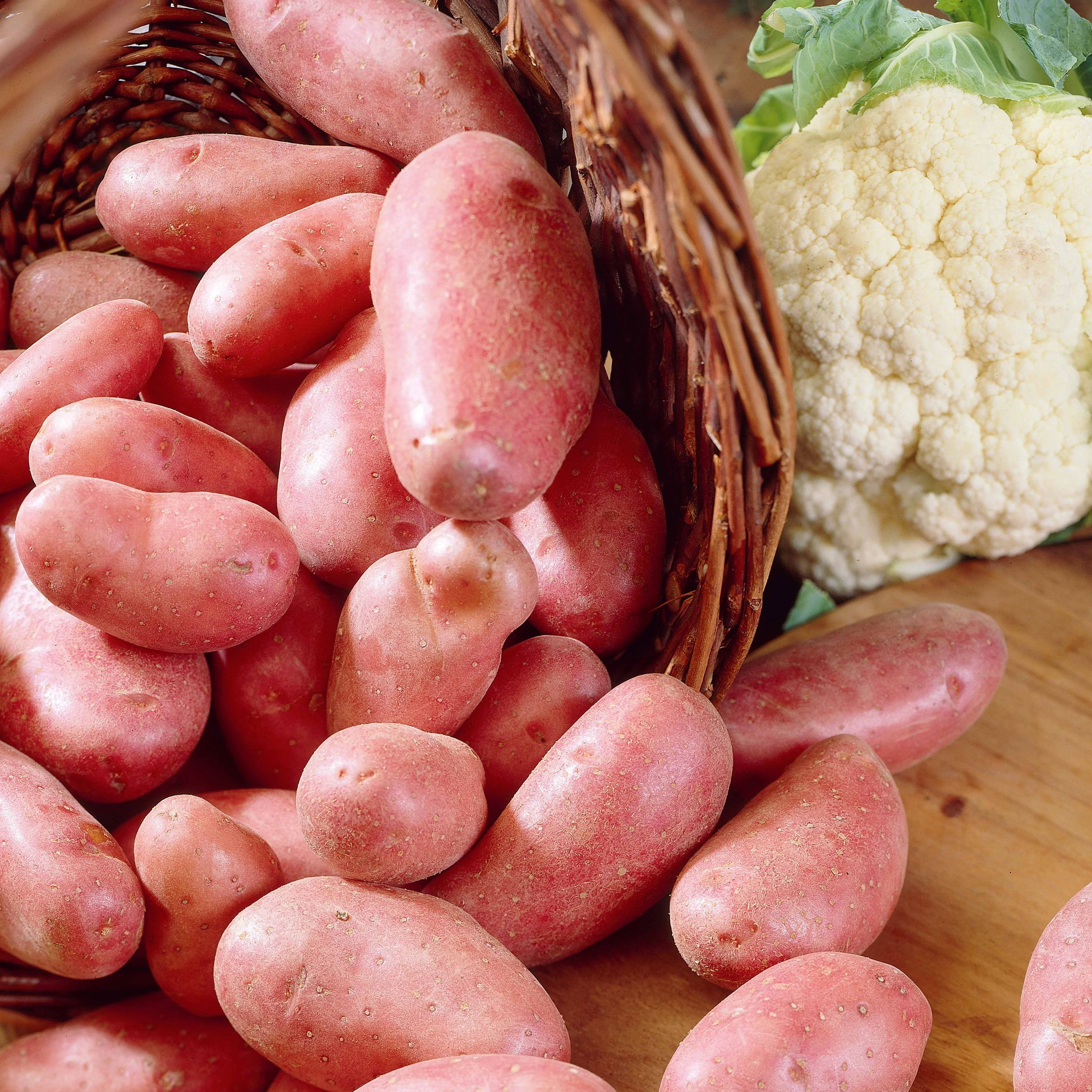 25 Pommes de terre Jeannette