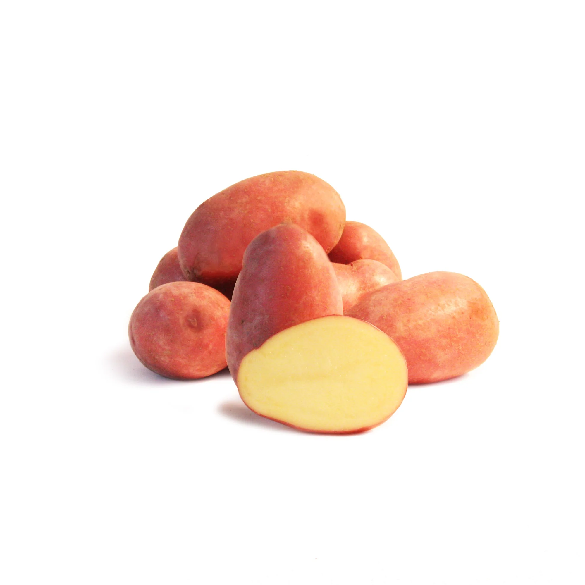 Pomme de terre Rose de France - Cirielle - Image 4