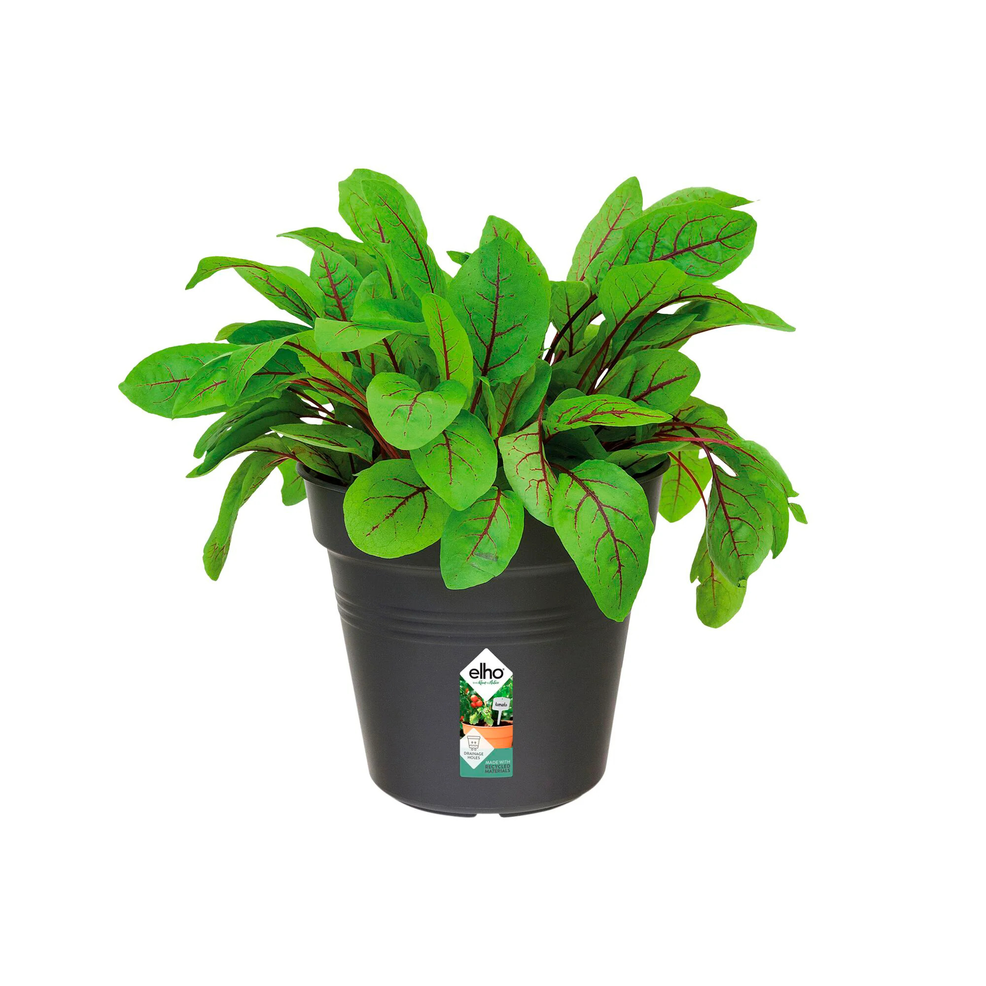 Pot de culture Green Basics Living noir - Image 2