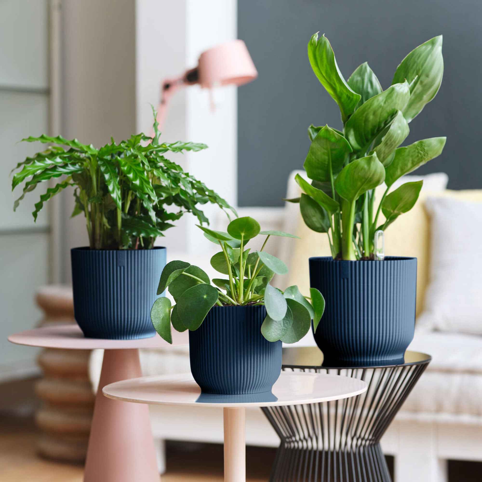 Pot de fleurs Elho Vibes Fold bleu