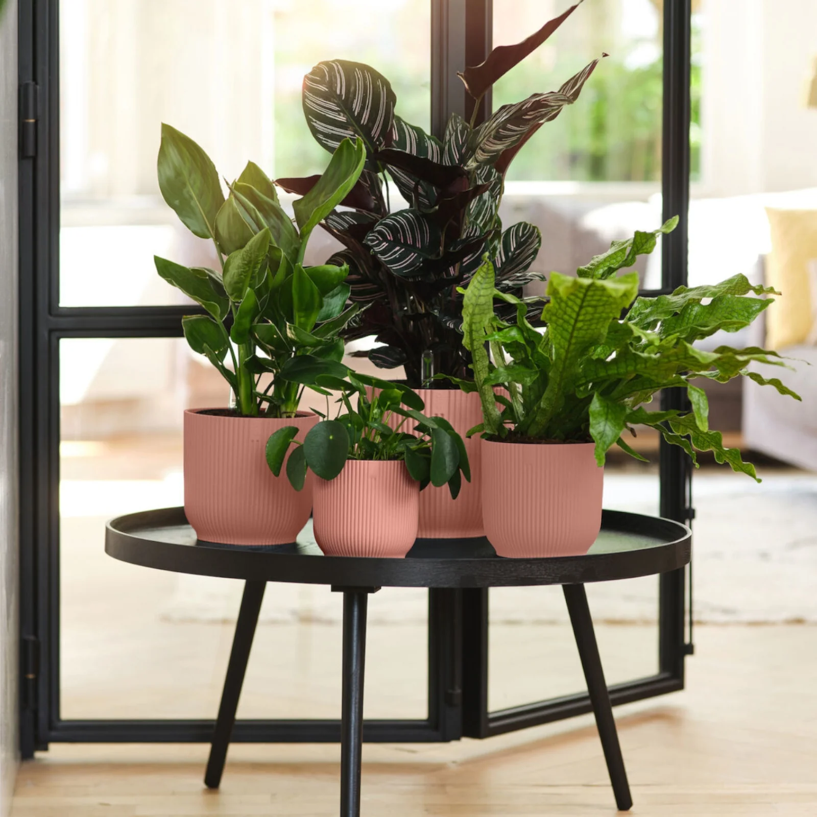 Pot de fleurs Elho Vibes Fold rose - Image 3