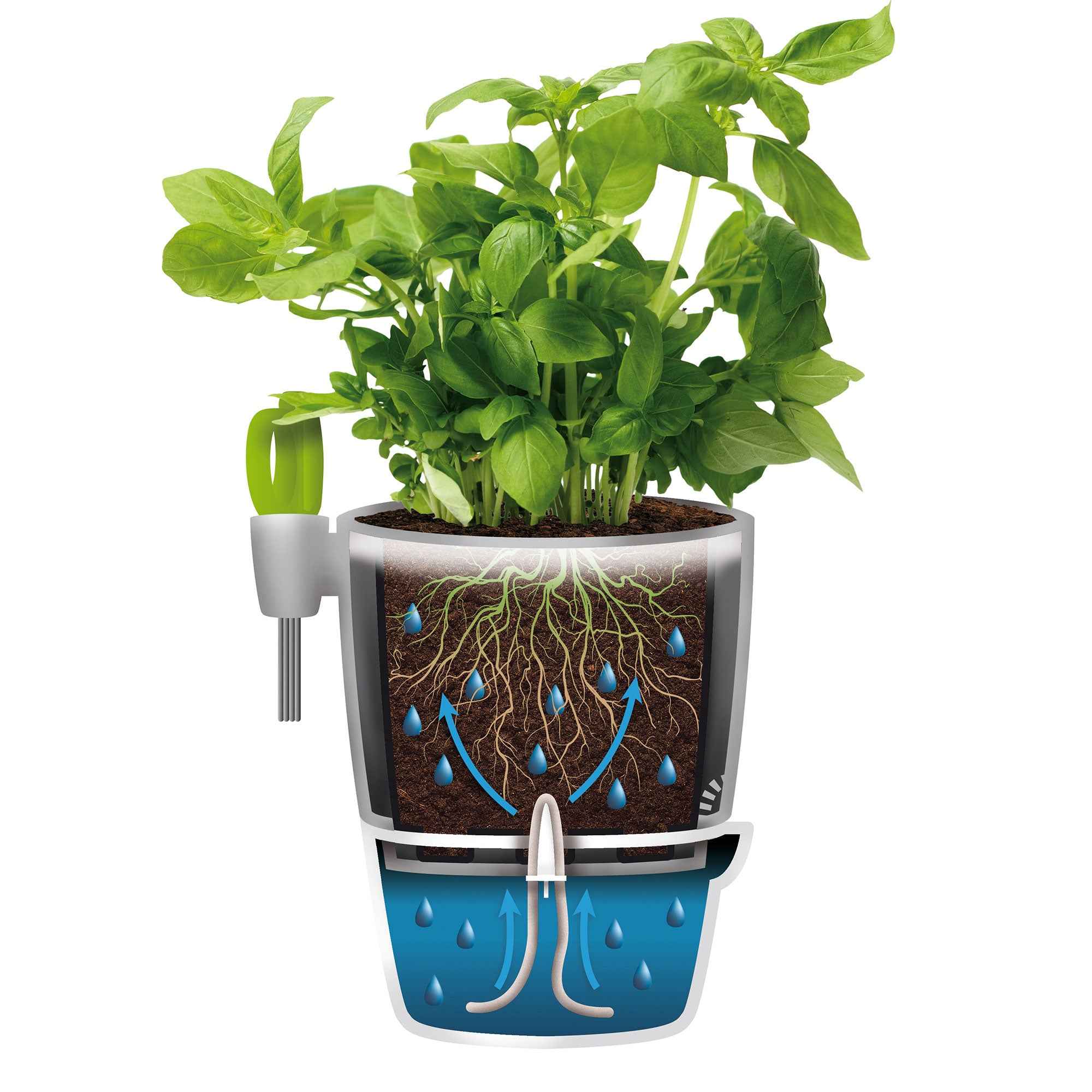 Pot d'herbes Brussels Elho Allin1 - Image 2
